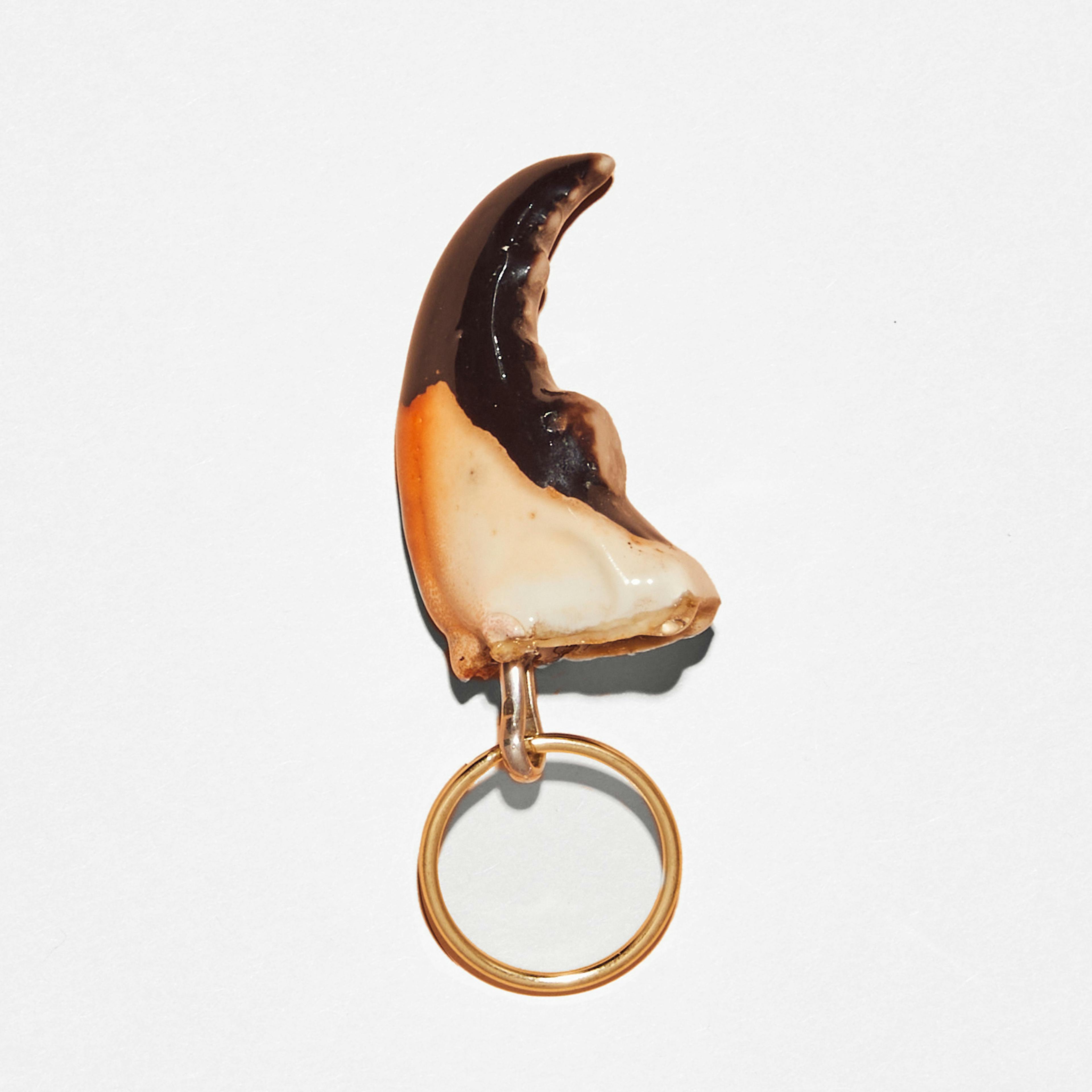 Stone Crab Claw Key Chain by Joe's Stone Crab - Alternate image 1