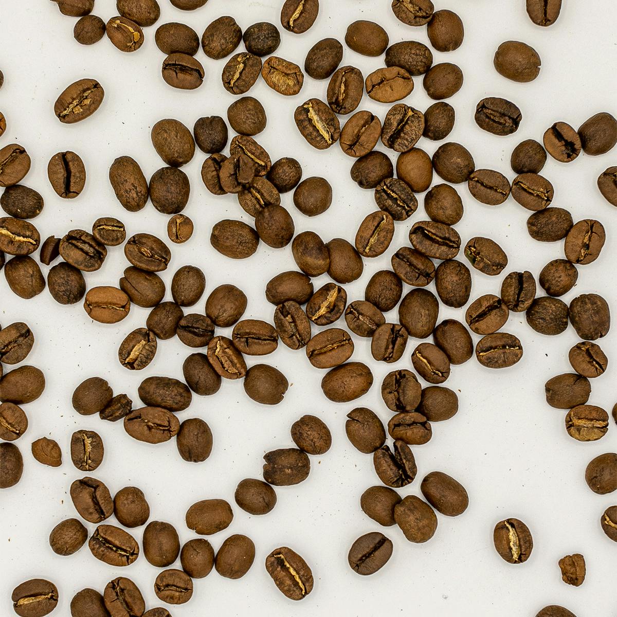Carissa's Coffee Beans - 2 Pack by Carissa's the Bakery - Alternate image 1