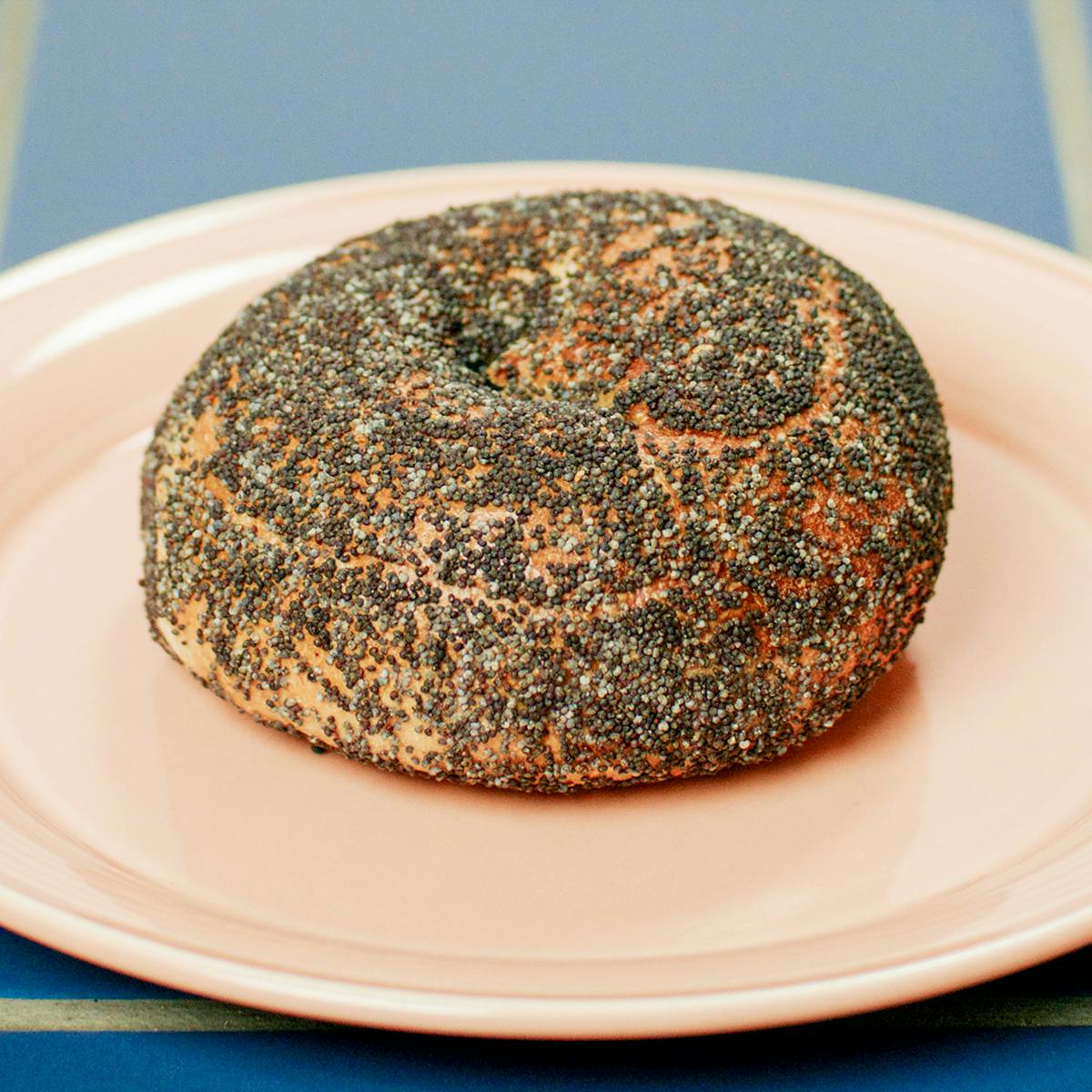 Bagel Brunch Kit for 12 by Kismet Bagels - Alternate image 8