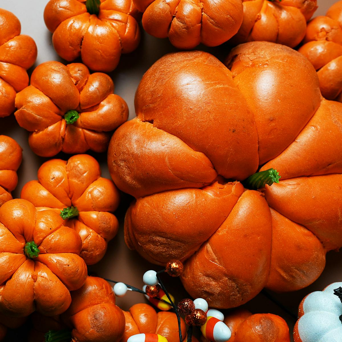 Giant Pumpkin Bagel + Dozen Bagels by The Bagel Nook