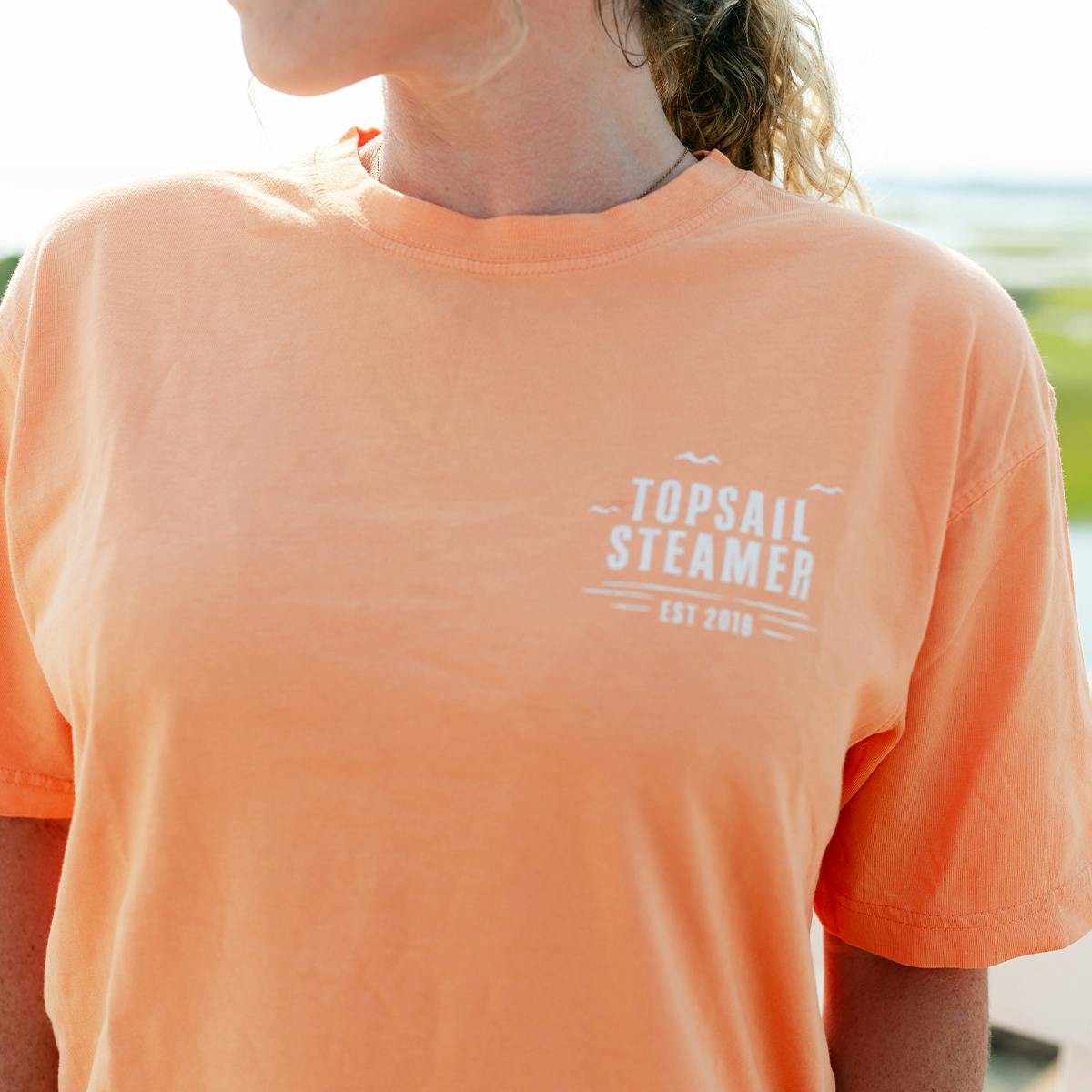 Pelican T-Shirt by Topsail Steamer - Alternate image 1