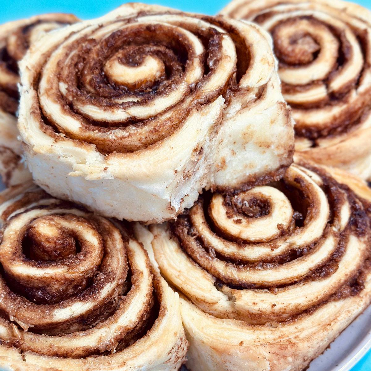 Mini Biscuits with Pumpkin Maple Butter - 24 Pack by Biscuit Love - Alternate image 6