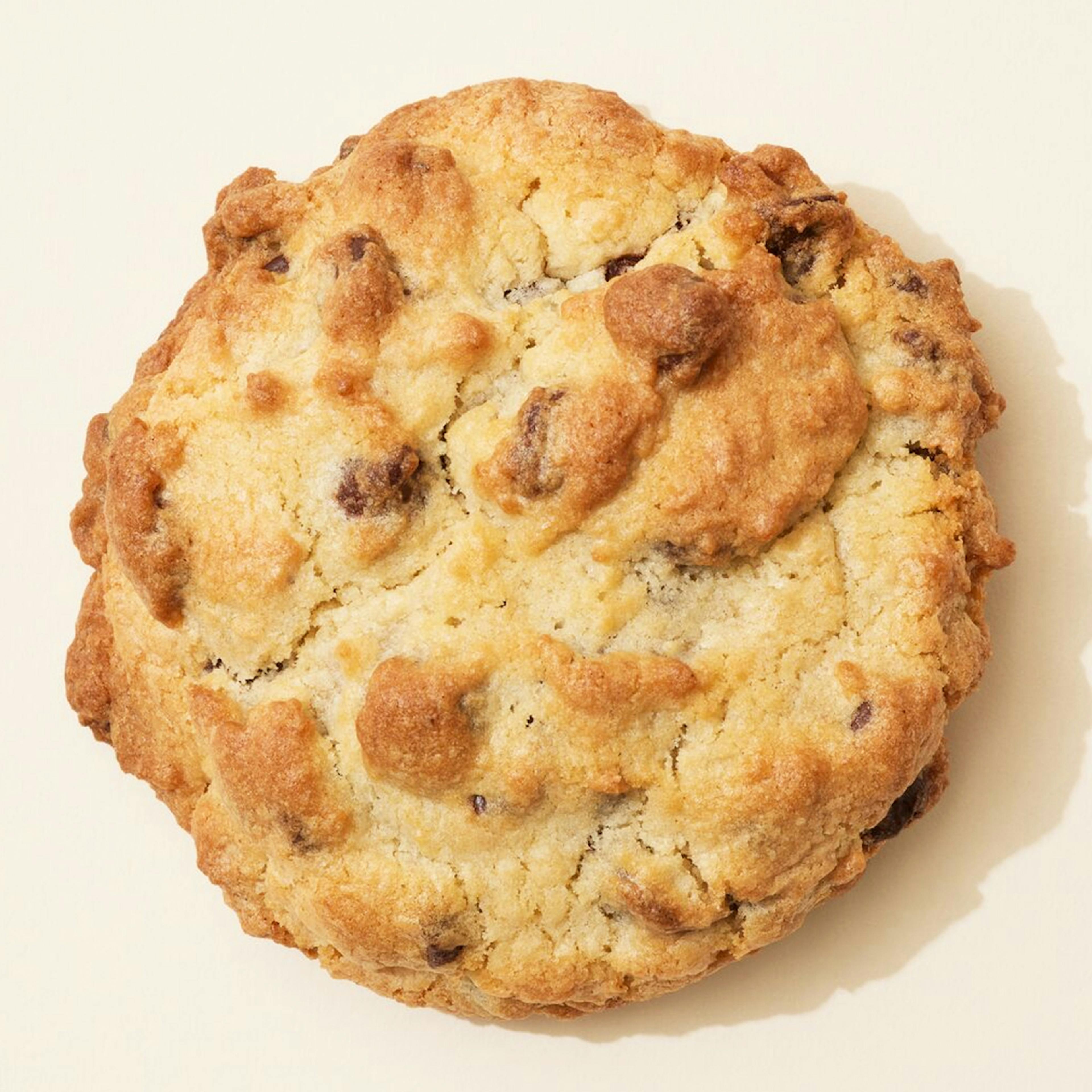 Vegan & Gluten-Free Chocolate Chip Walnut Cookies by Levain Bakery - Alternate image 1