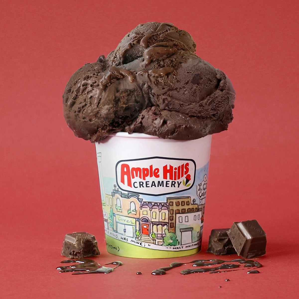 Chocolate Fudge Ice Cream by Ample Hills Creamery