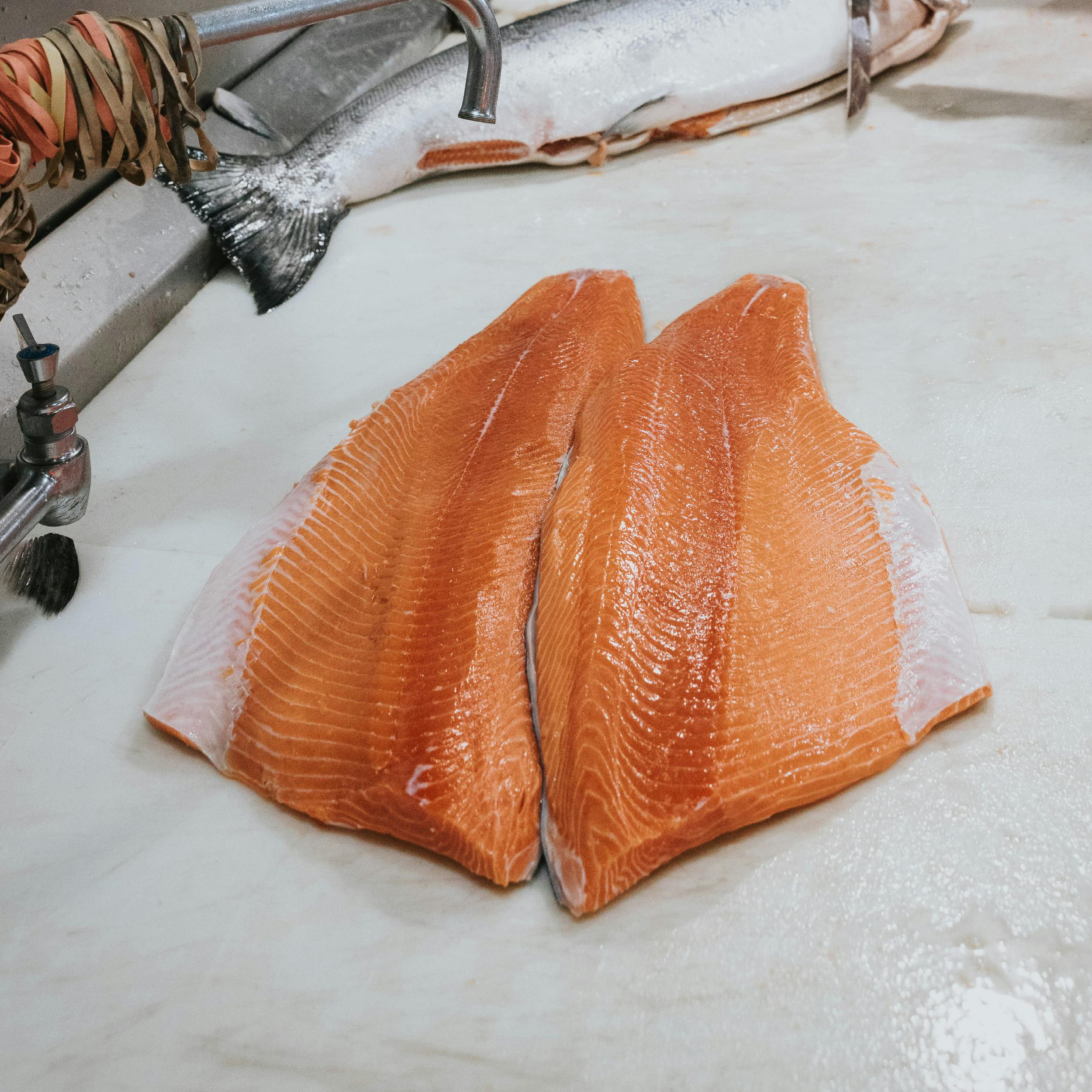 King Salmon - Fillet, Wild, Pacific, USA, 1 lb