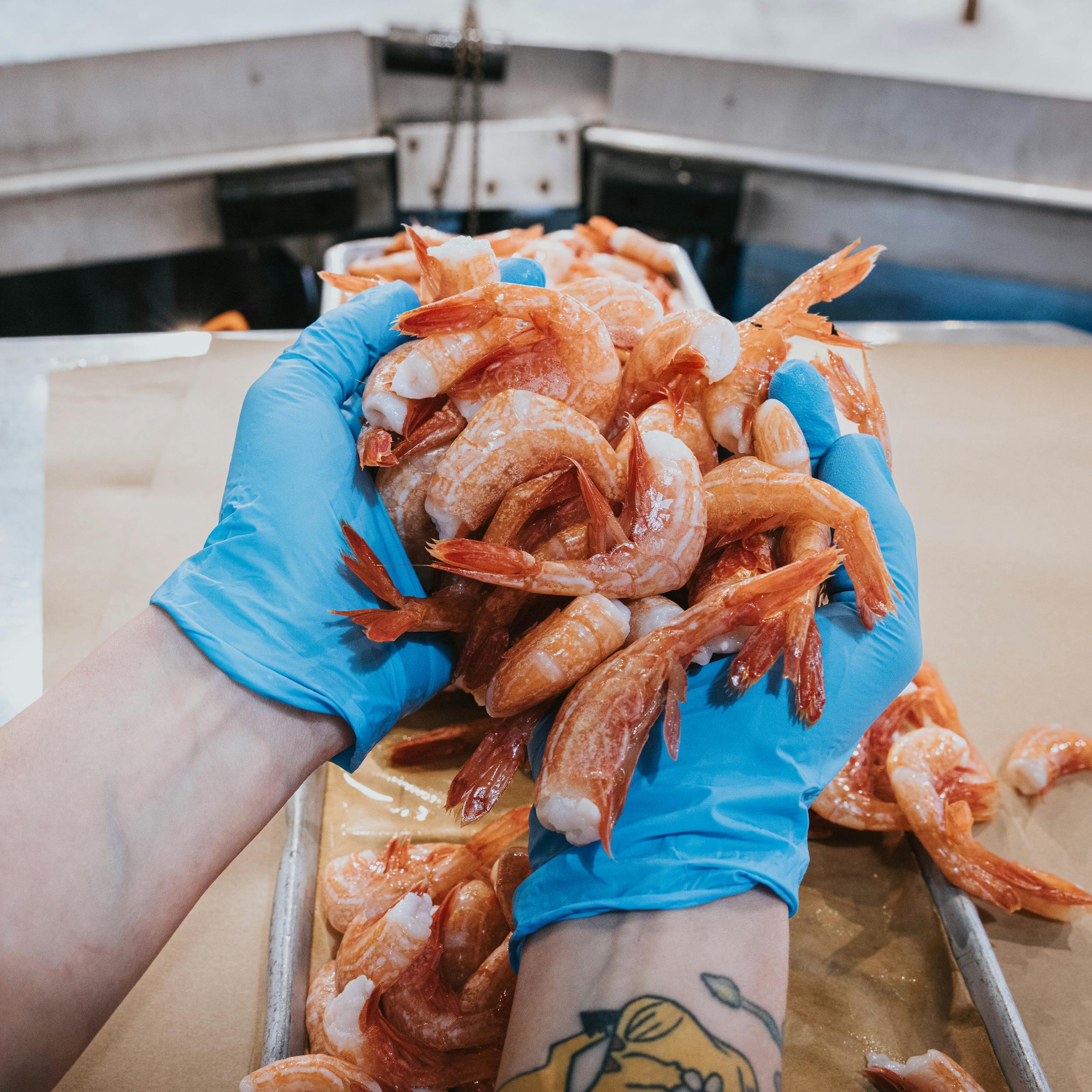 Sidestriped Shrimp - Wild, Alaskan, USA, 2 lbs. by Pike Place Fish Market - Alternate image 2