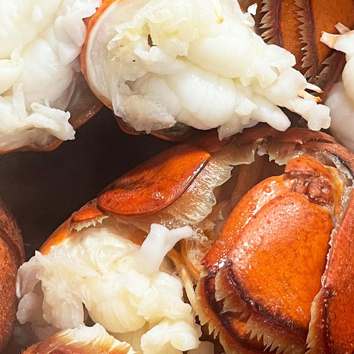 Acadia Lobster Roll Kit for 5 by Water Dog Smoke House - Alternate image 6