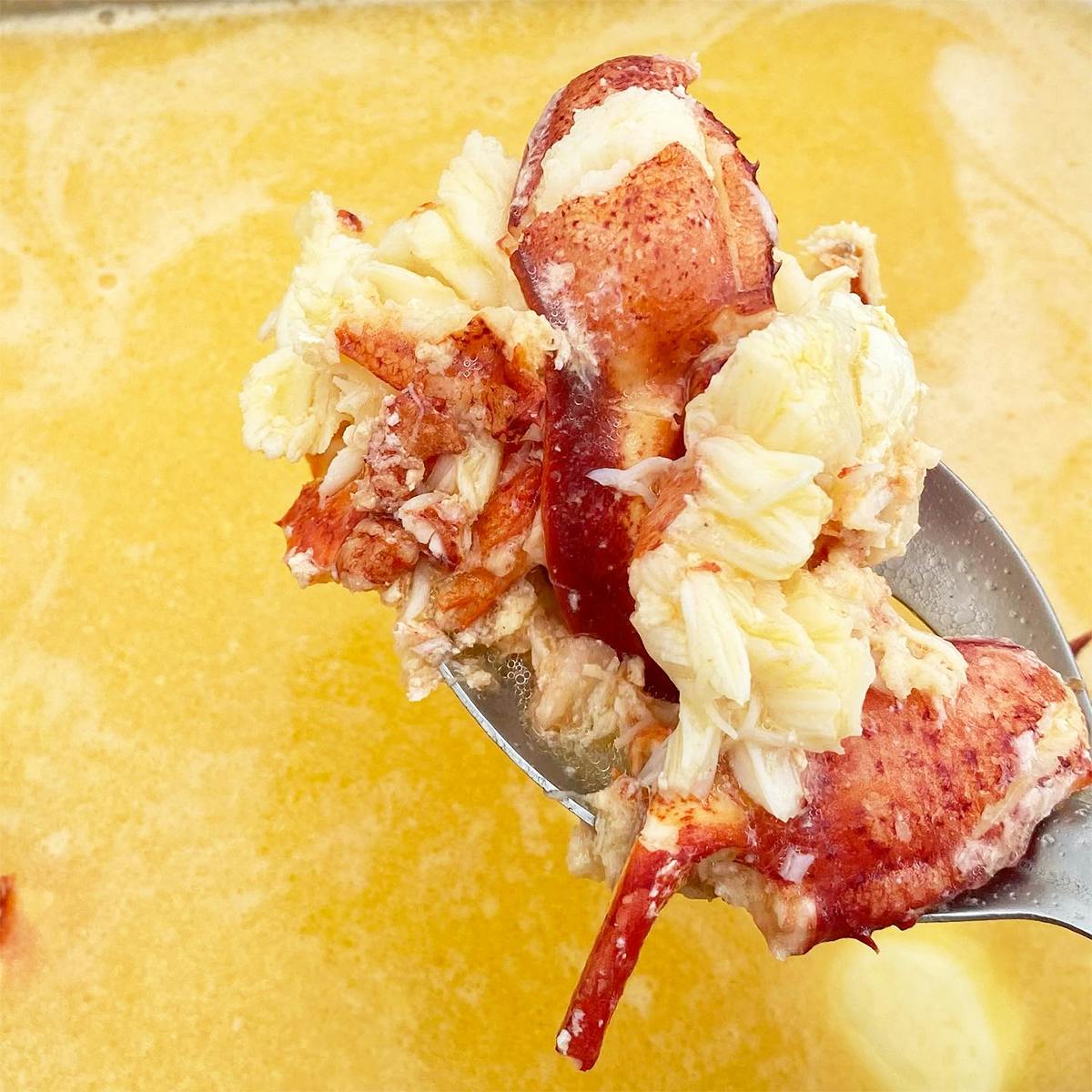 Acadia Lobster Roll Kit for 5 by Water Dog Smoke House - Alternate image 3