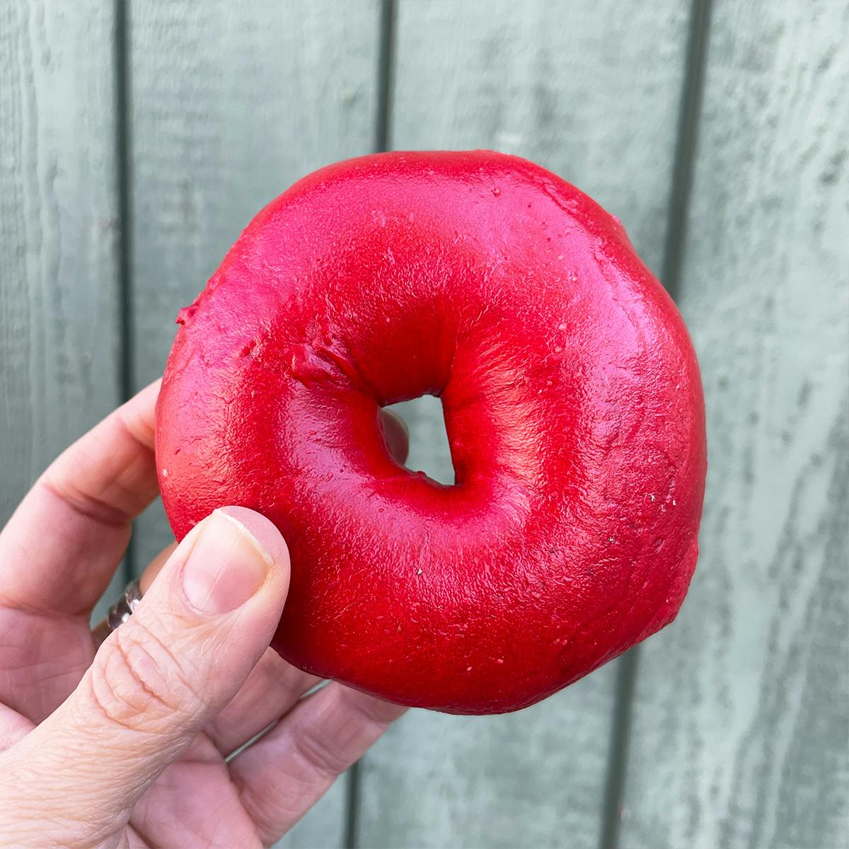 Valentine's Day Red Bagels - Dozen by Collegetown Bagels - Alternate image 2