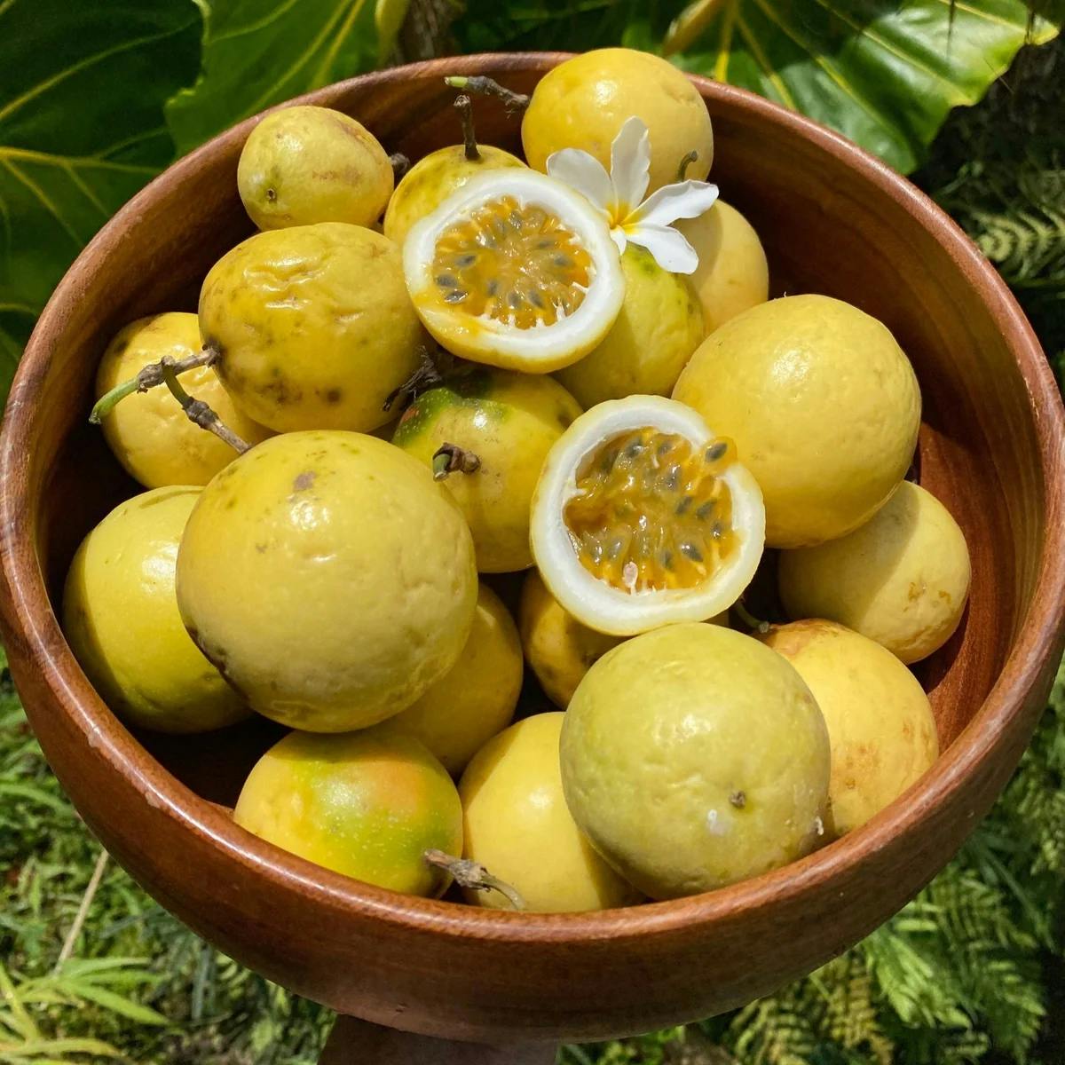 Golden Passionfruit Box by Miami Fruit