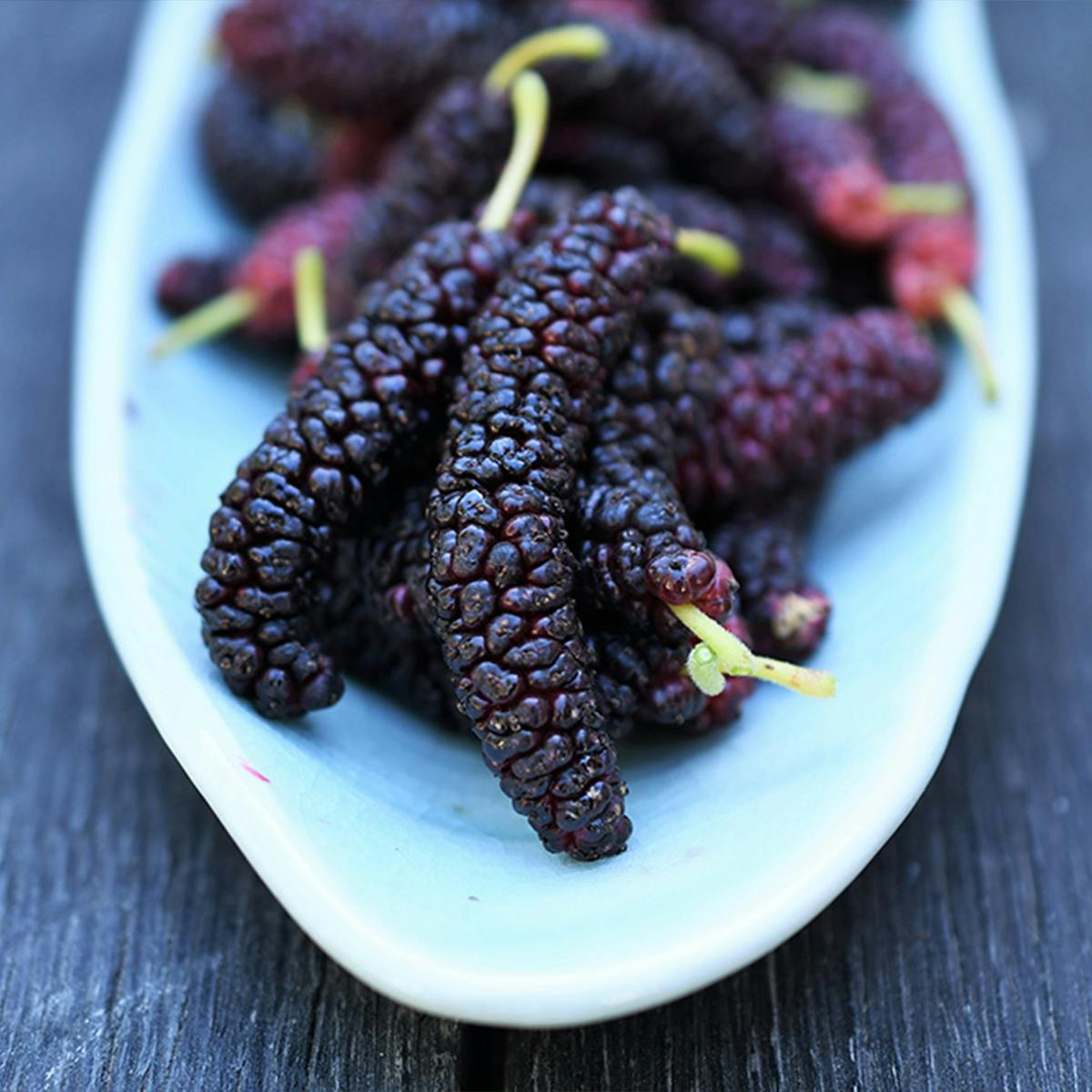 Organic Frozen Pakistan Mulberries by Frog Hollow Farm
