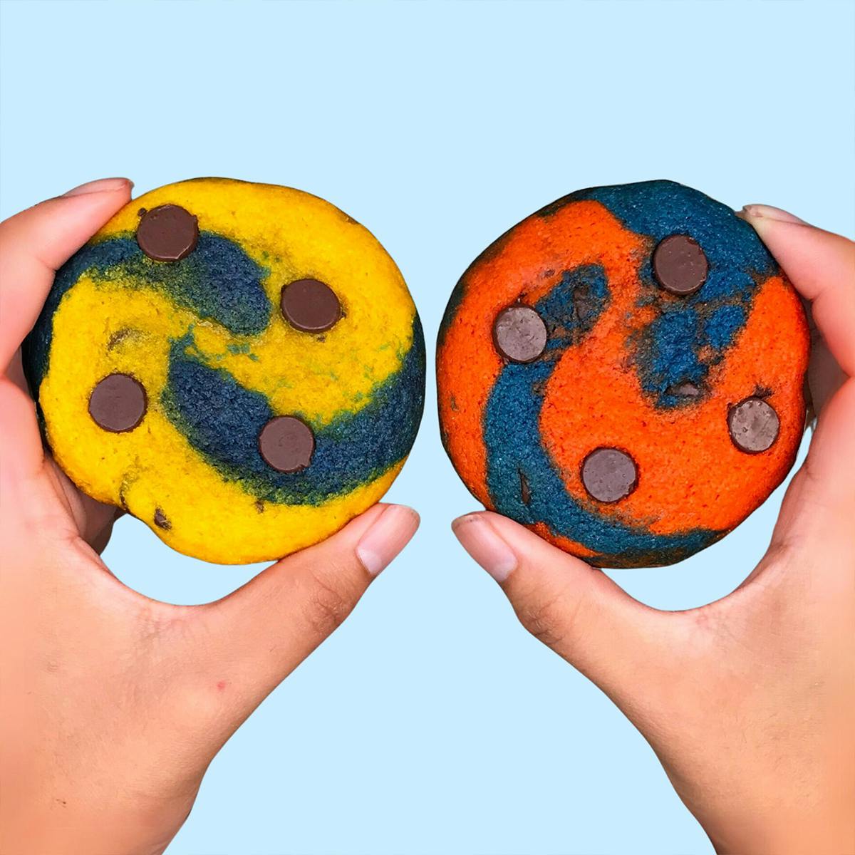 College Colors Chocolate Chip Cookies Gift Tin by Baked in Color