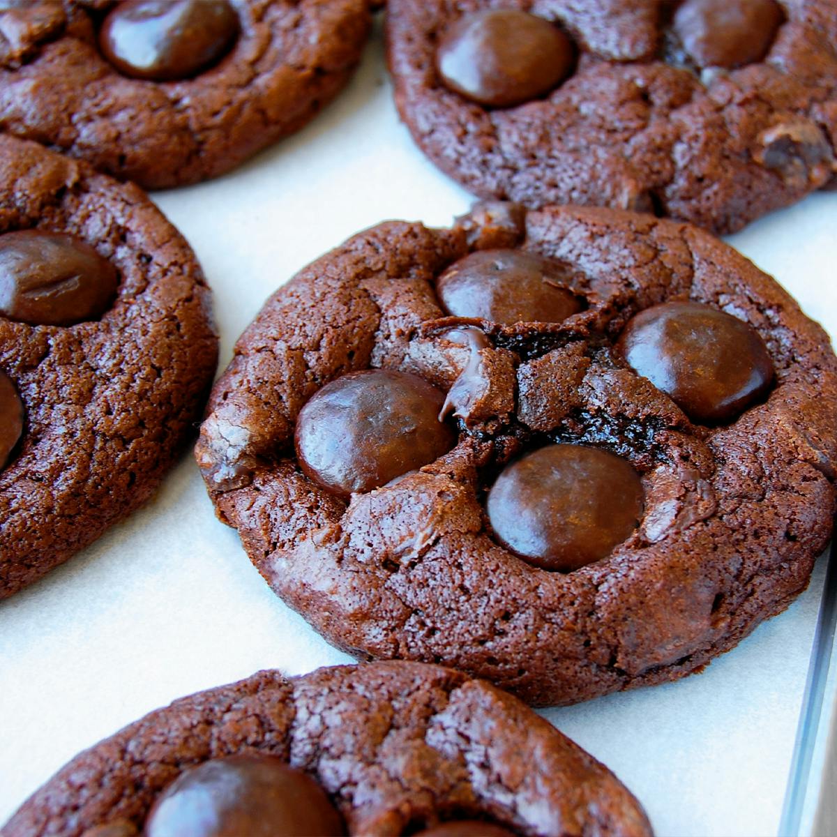 St Patrick's Day Cookie Box - 12 Pack by Cookie Good - Alternate image 11