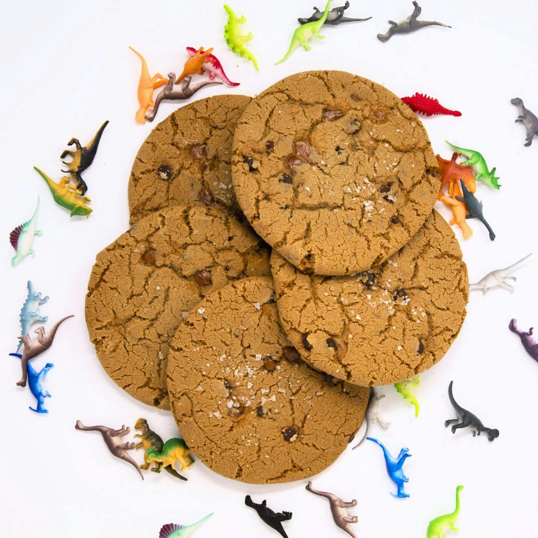 GIANT Sea Salt Caramel Chocolate Chip Cookies - 5 Pack by T-Rex Cookie Company