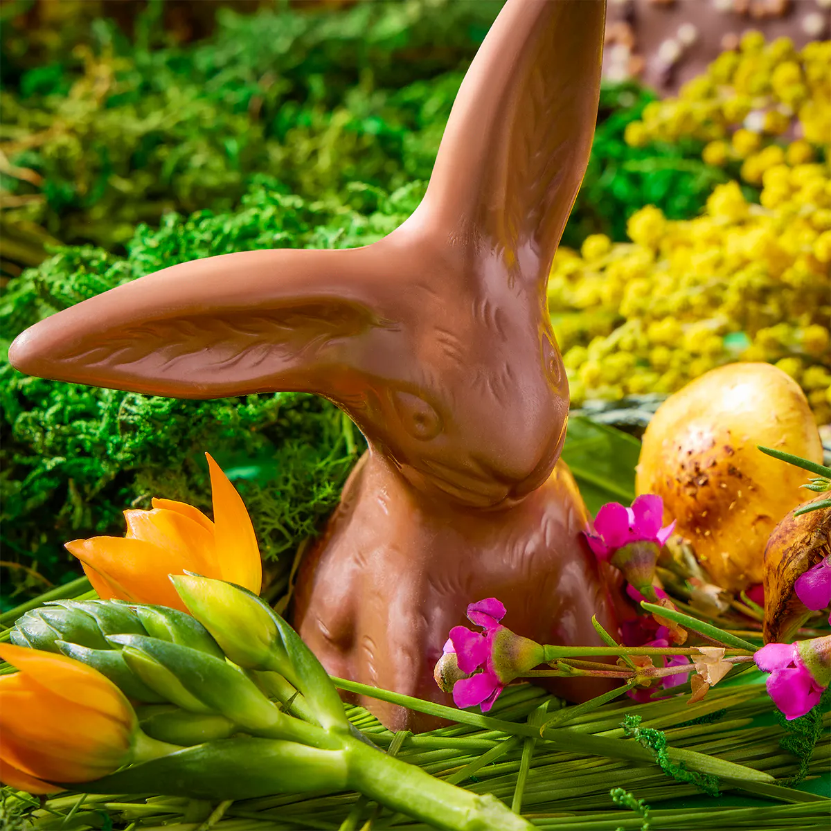 Magical Flop-Eared Chocolate Bunny Bundle by Vosges Haut-Chocolat - Alternate image 1