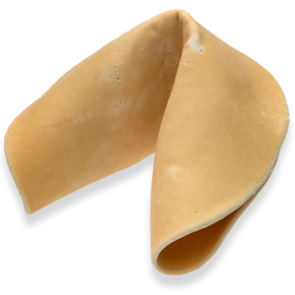 JUMBO Plain Vanilla Fortune Cookie by Lady Fortunes