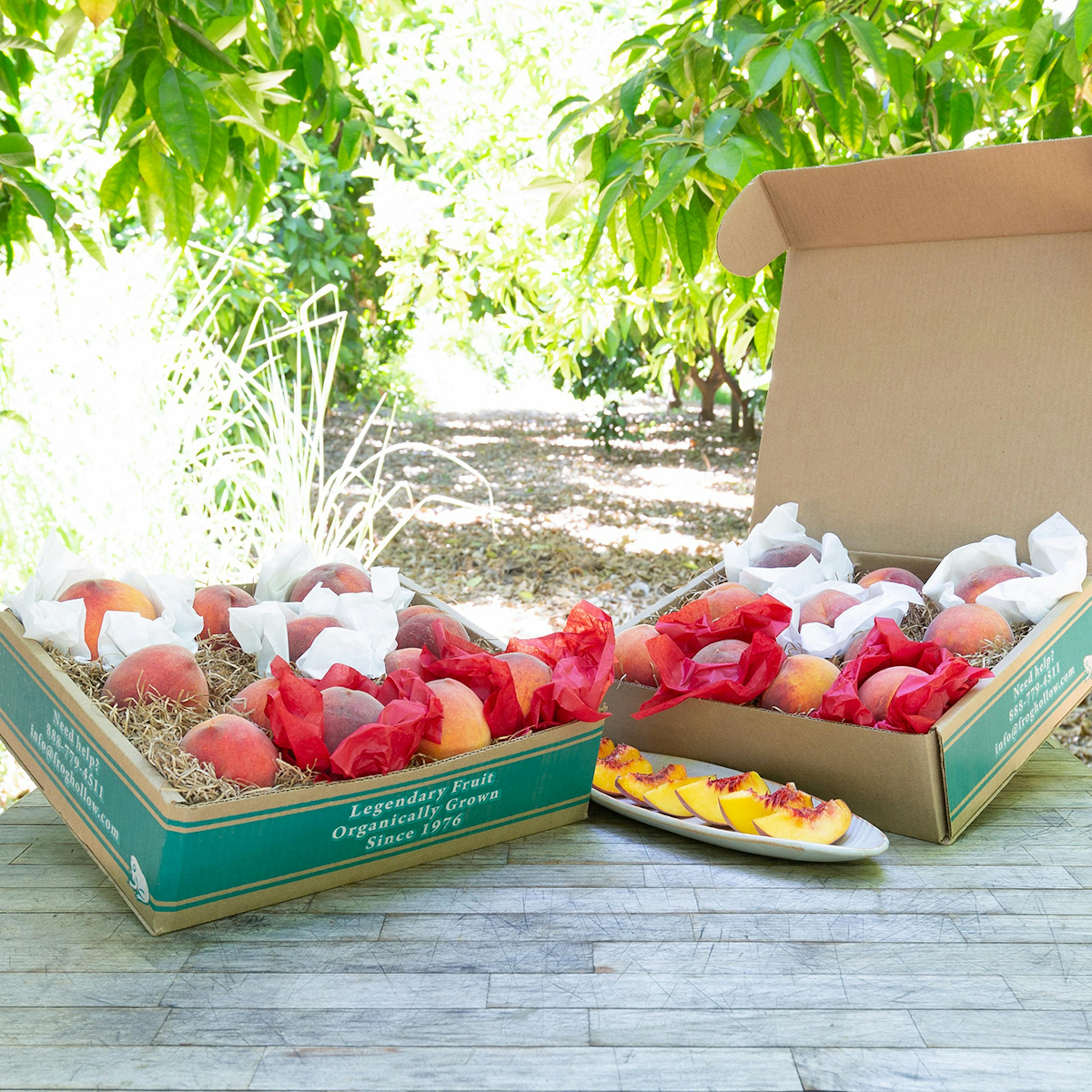 Battle of the Peaches Box by Frog Hollow Farm - Alternate image 1