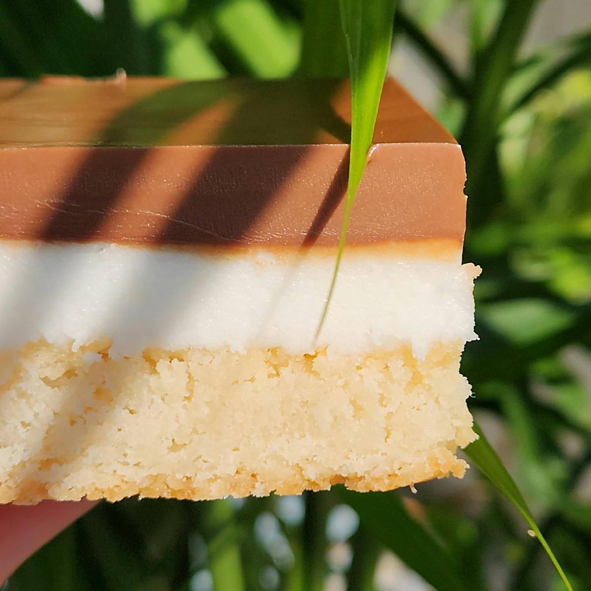 Creamsicle Trillionaire's Shortbread - Choose Your Own by Shortbread Society - Alternate image 9