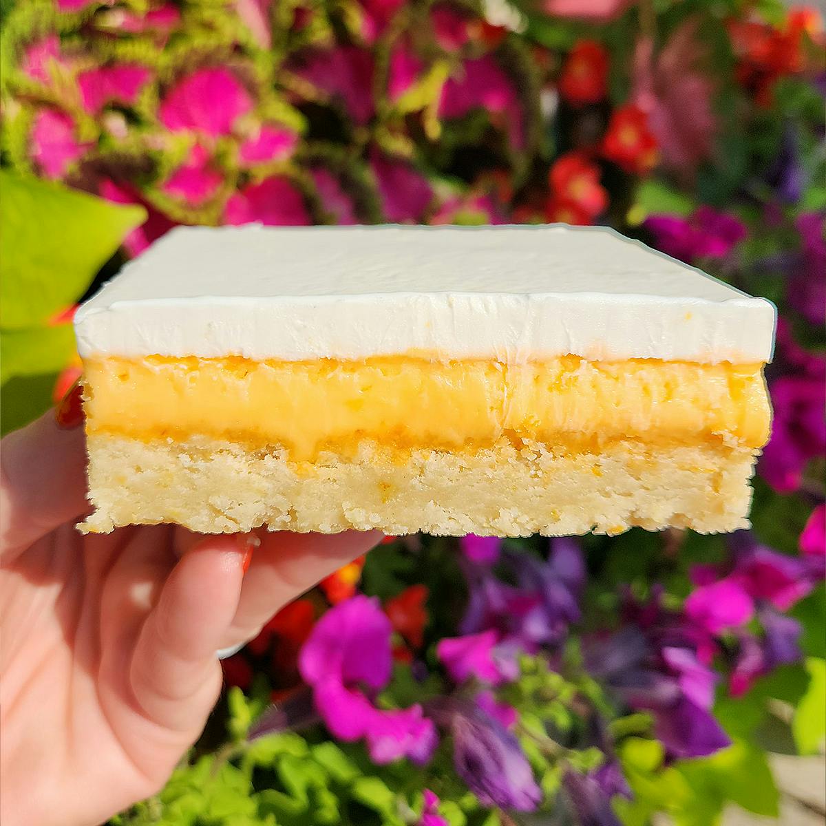 Creamsicle Trillionaire's Shortbread - Choose Your Own by Shortbread Society - Alternate image 5