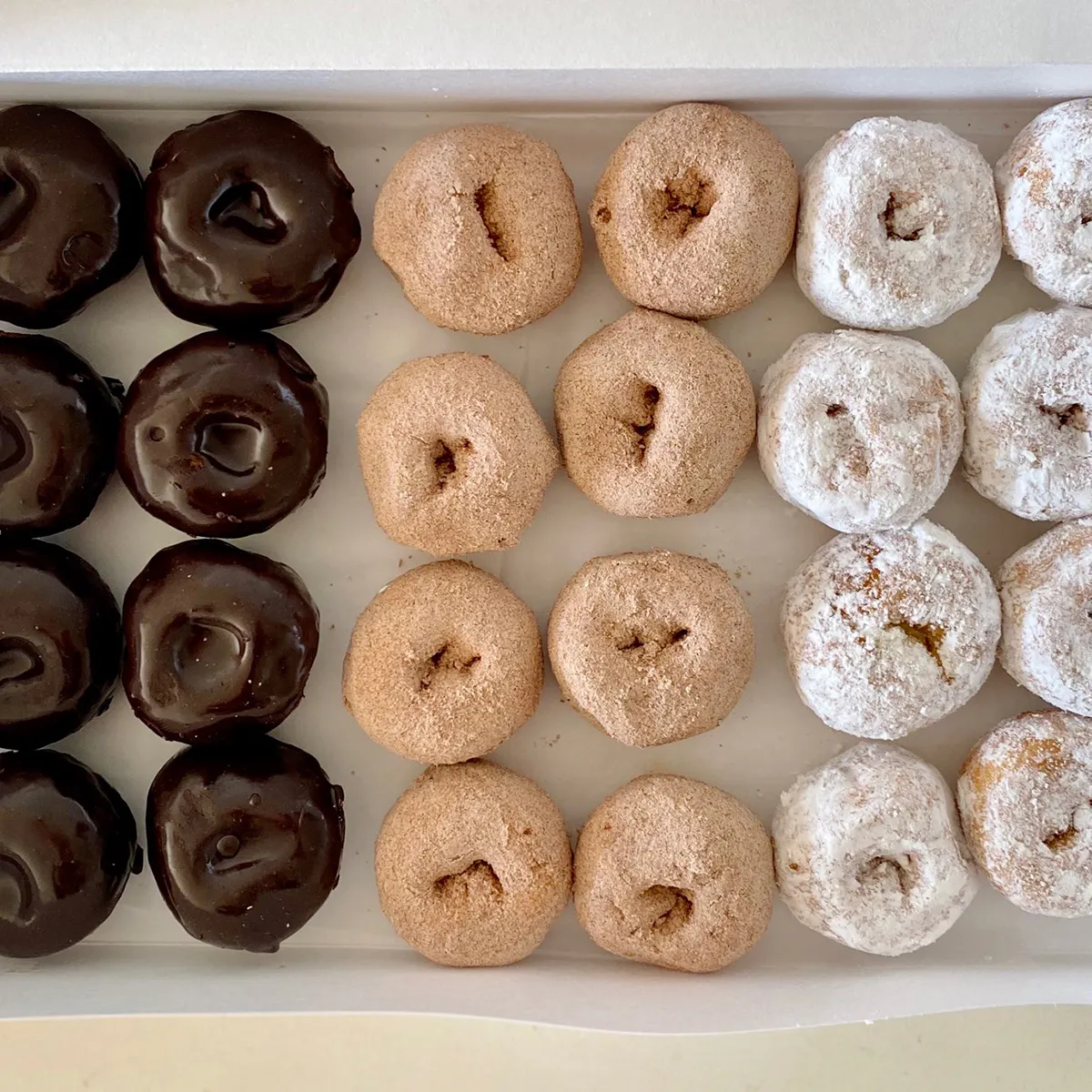 The Donut Pub - Mini Cake Donuts - 24 Pack