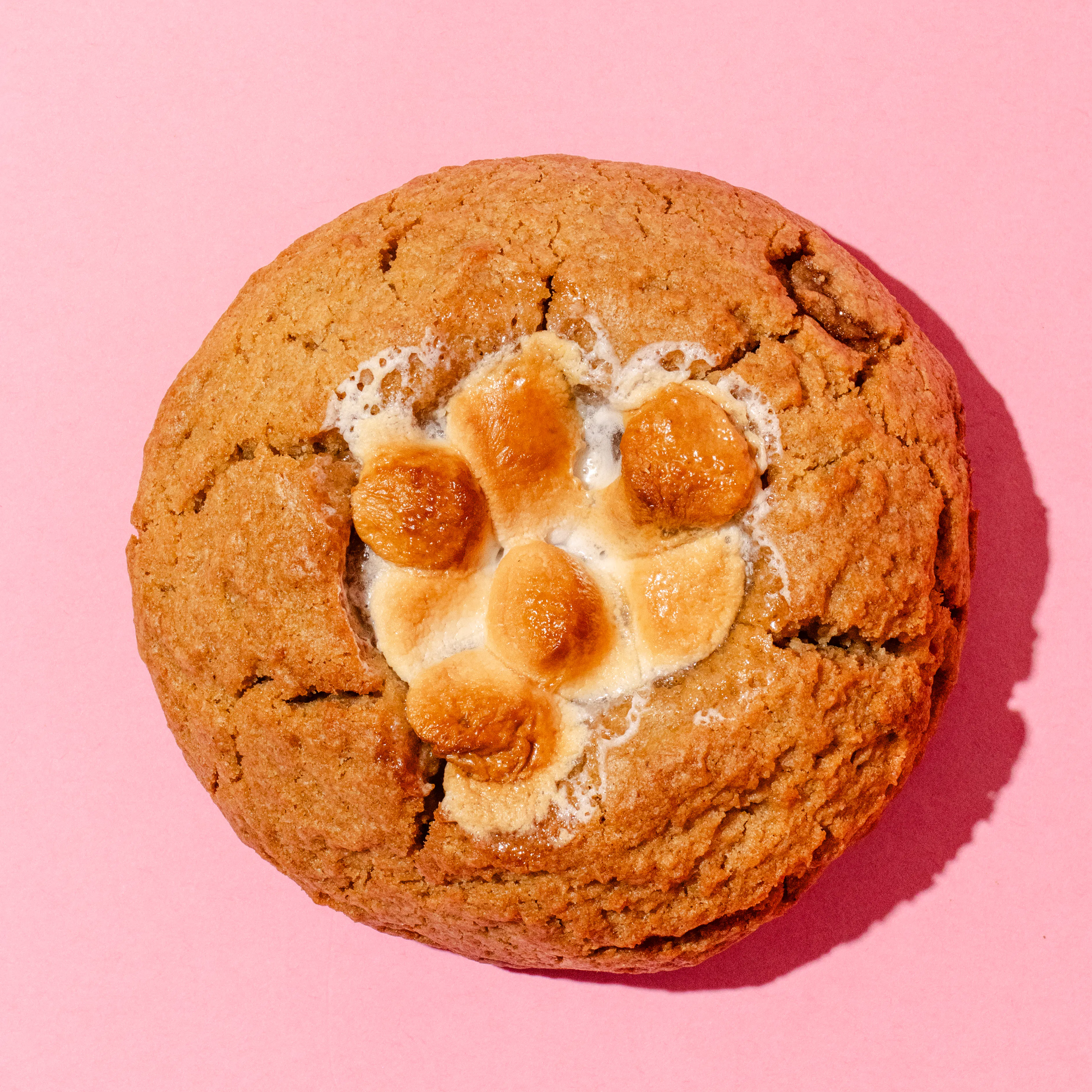 Thanksgiving JUMBO Cookies - 12 Pack by Chip City Cookies - Alternate image 2