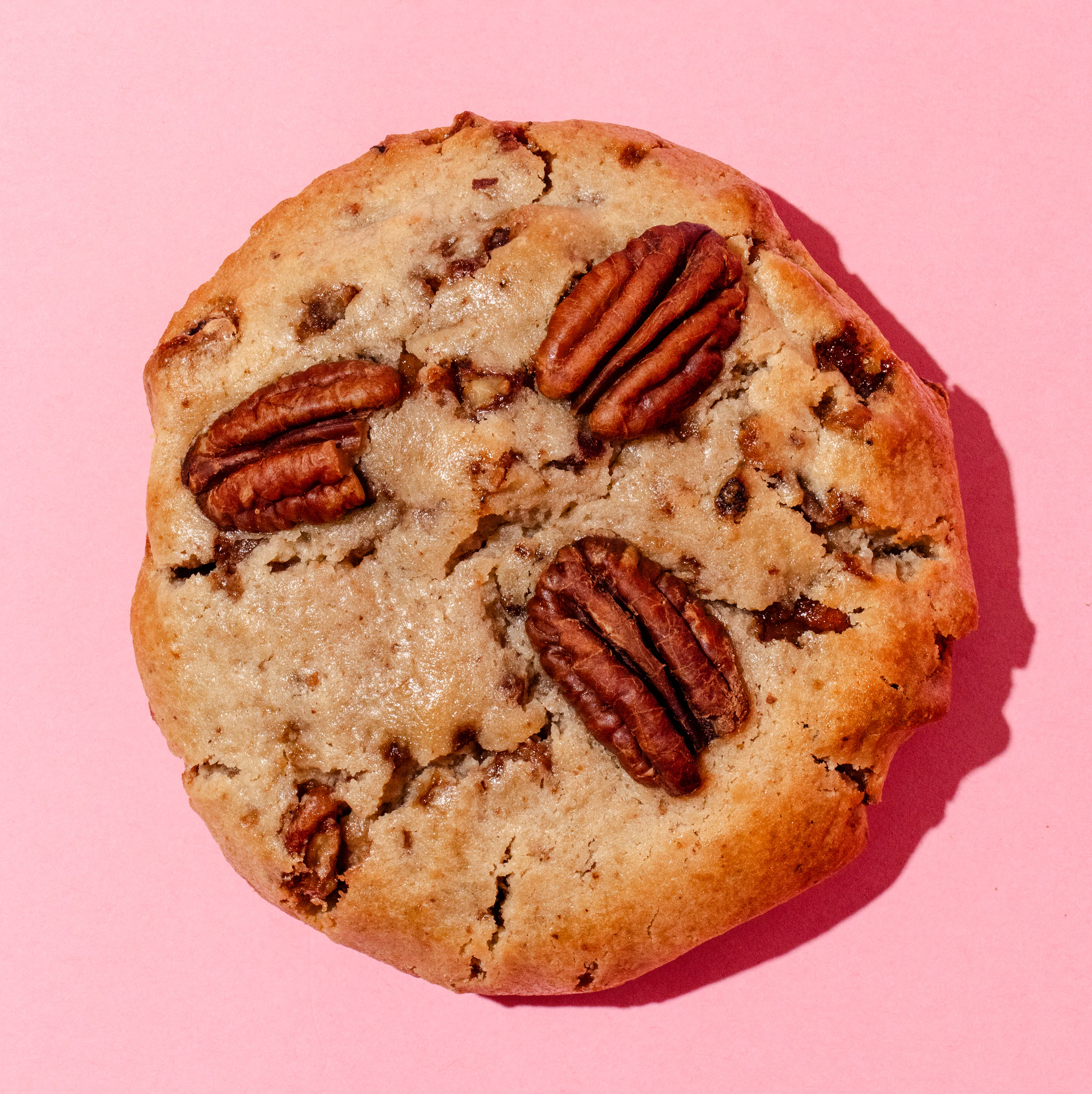 Thanksgiving JUMBO Cookies - 12 Pack by Chip City Cookies - Alternate image 4