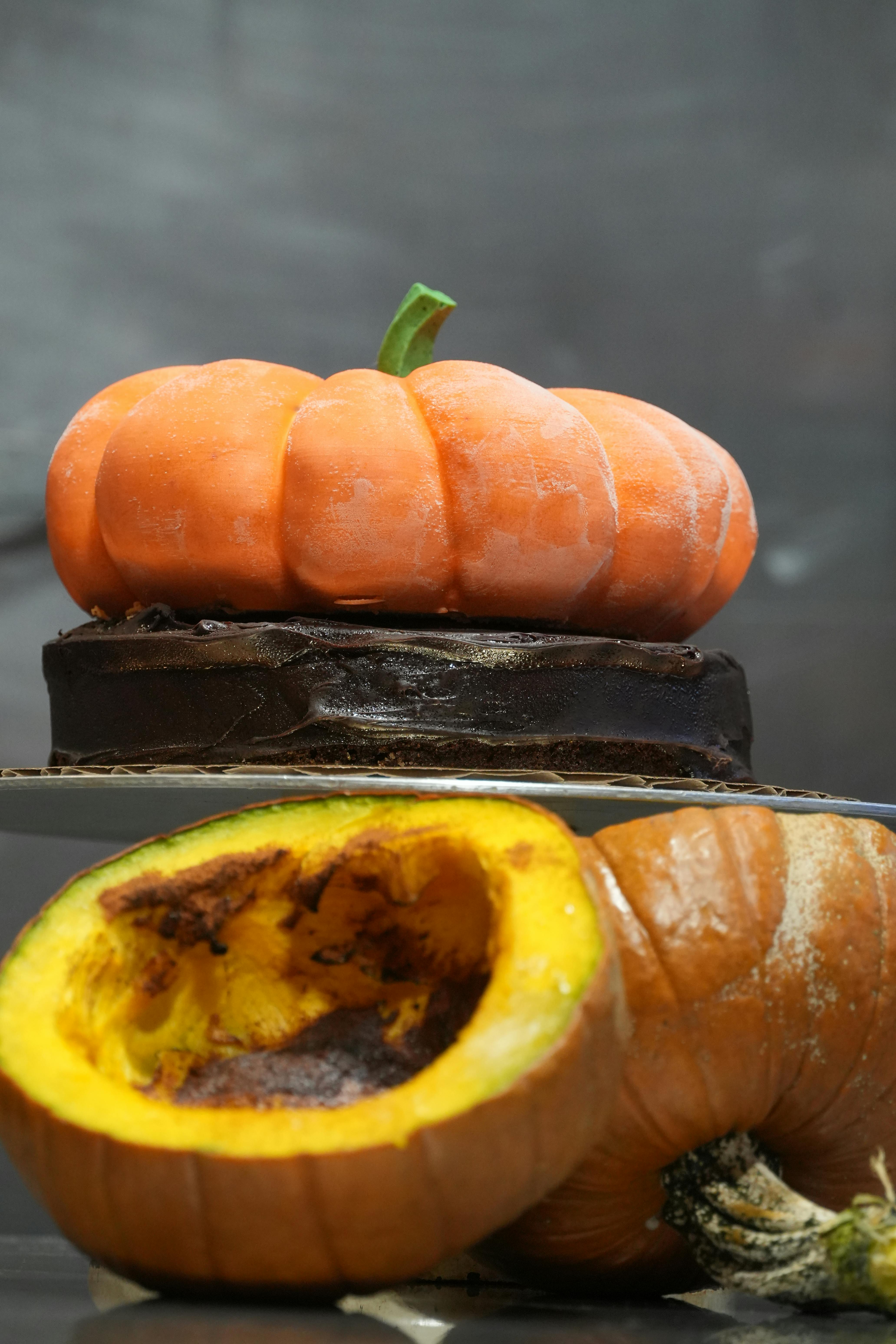 Pumpkin Mousse Chocolate Cake by Knipschildt Chocolatier