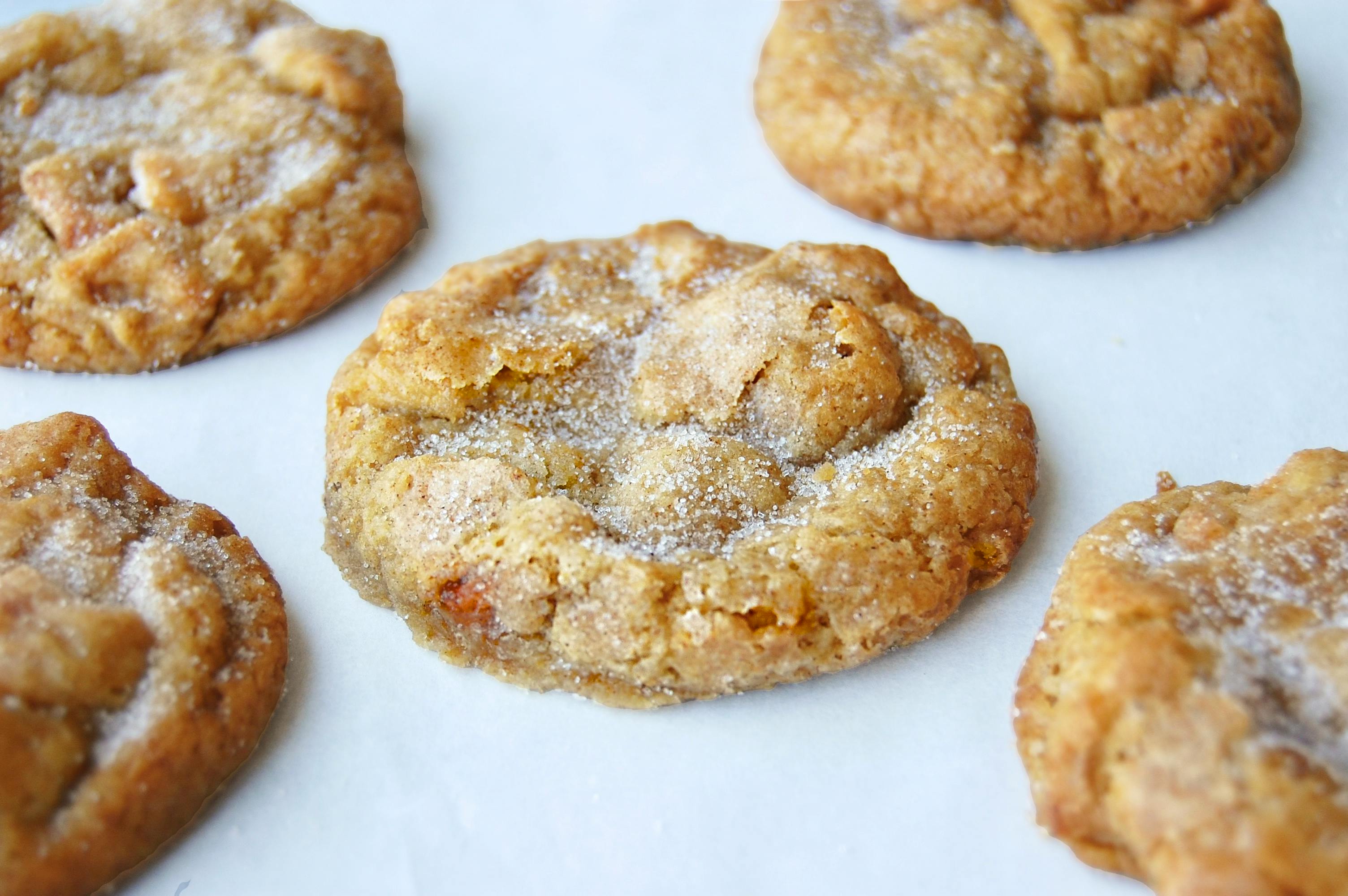 Thanksgiving Cookie Box - 12 Pack by Cookie Good - Alternate image 6