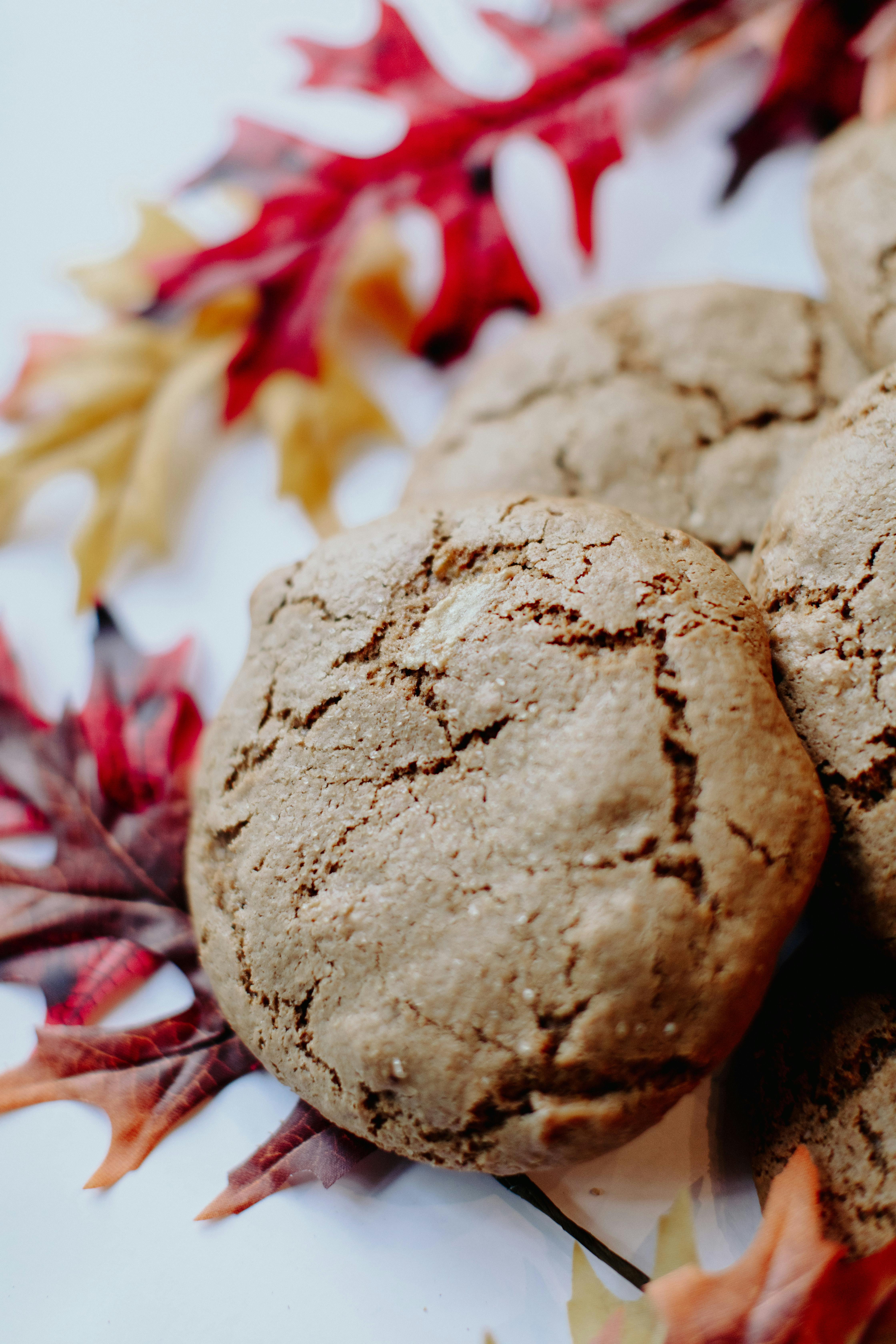 GIANT Pumpkin White Chocolate Cookies by T-Rex Cookie Company - Alternate image 2