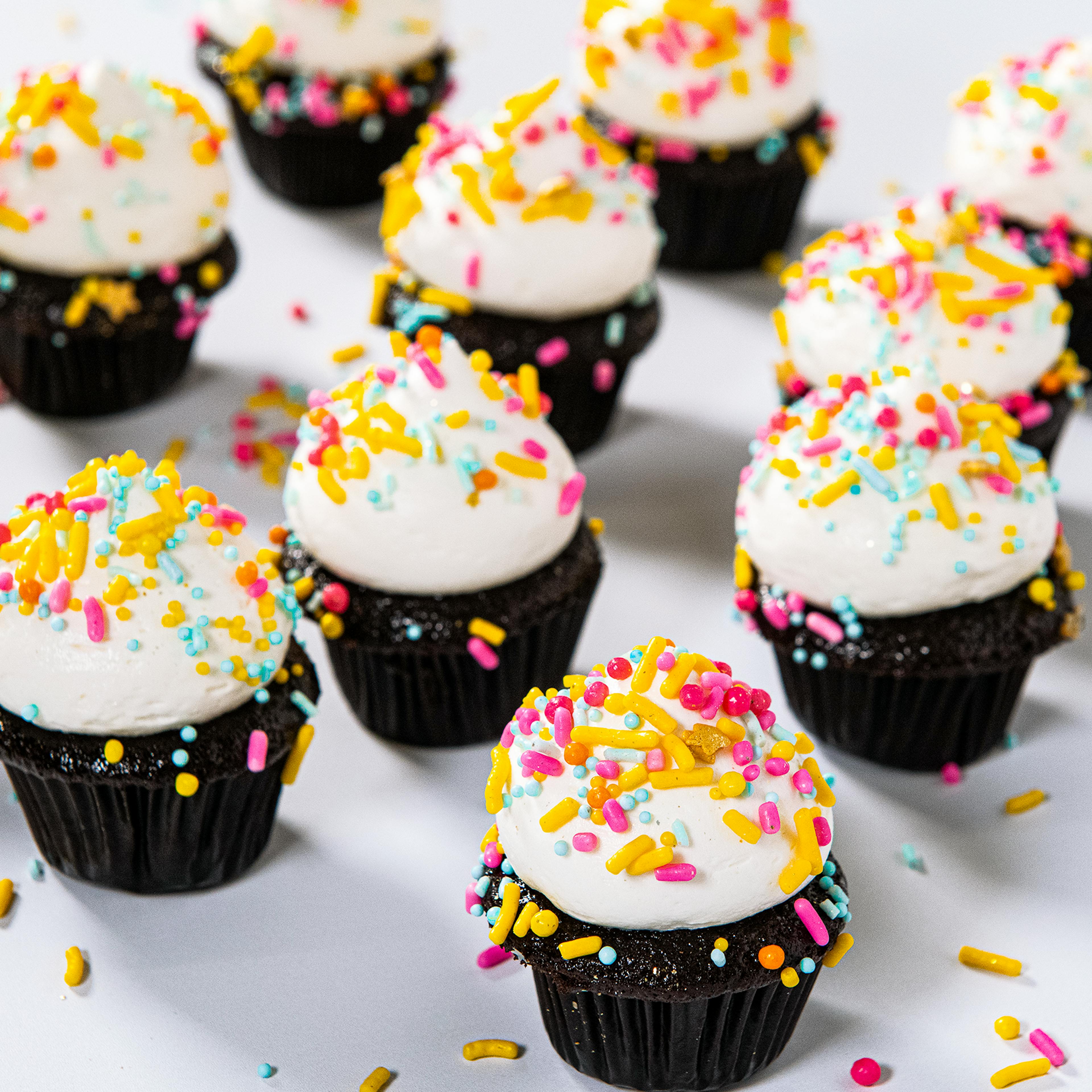 Gluten-Free Chocolate Vanilla Mini Cupcakes - 12 Pack by Trophy Cupcakes