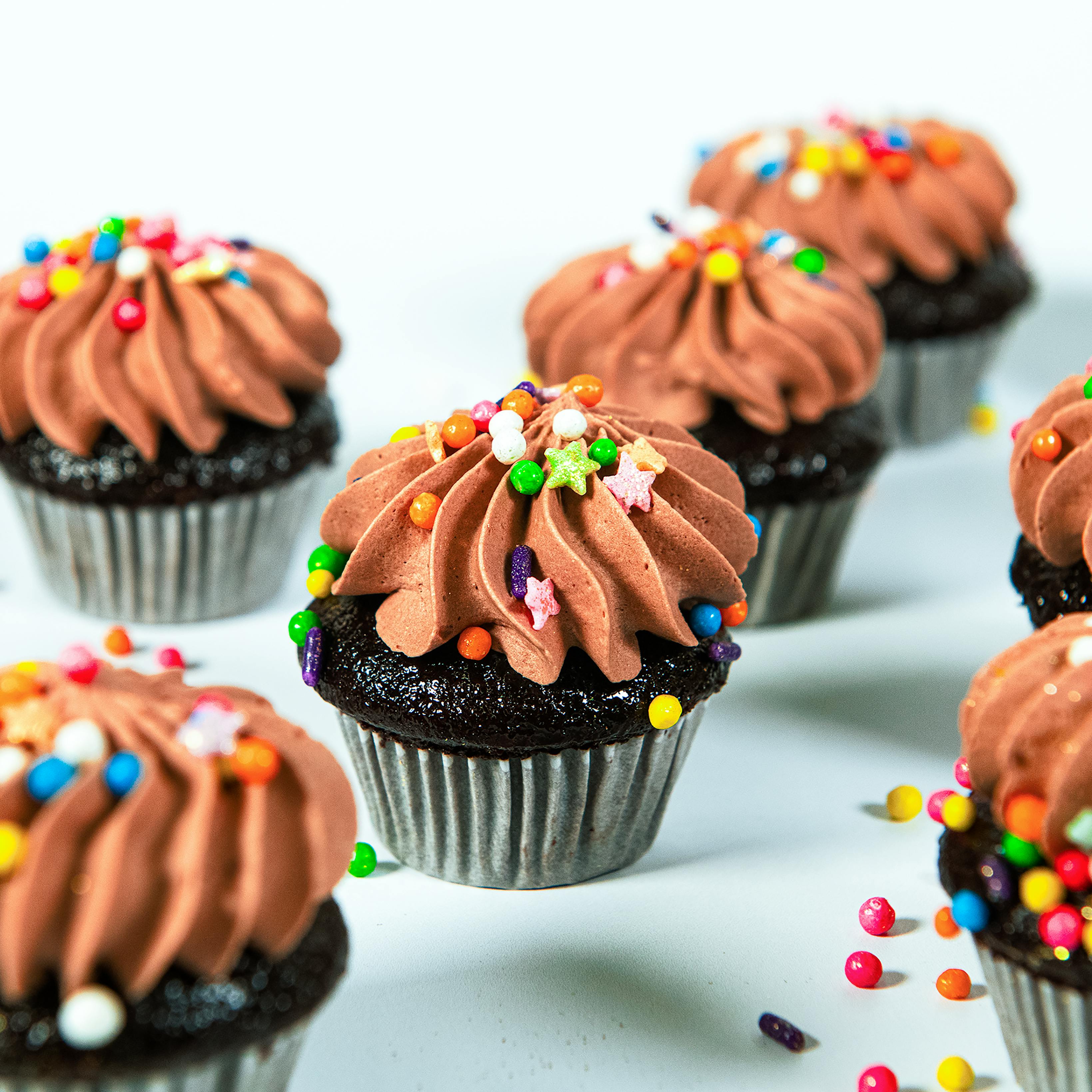Vegan Chocolate Mini Cupcakes - 12 Pack by Trophy Cupcakes