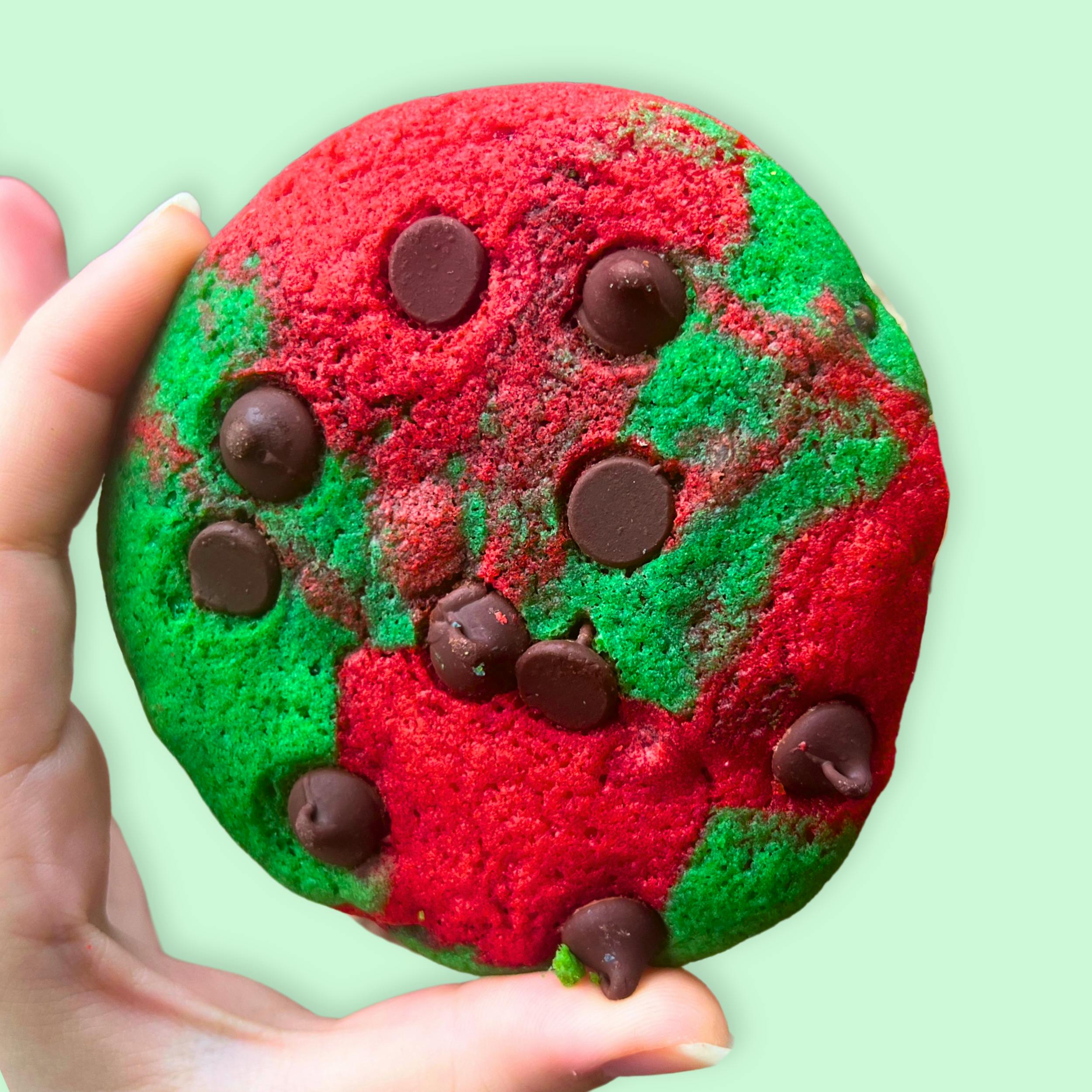 Christmas Cookie Tin - 20 Pack by Baked in Color - Alternate image 1