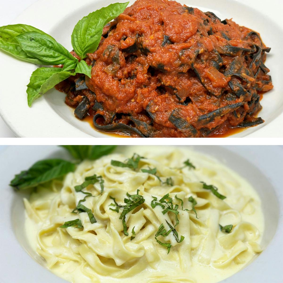 Fettuccine Pasta for 4-6 by Filomena Ristorante