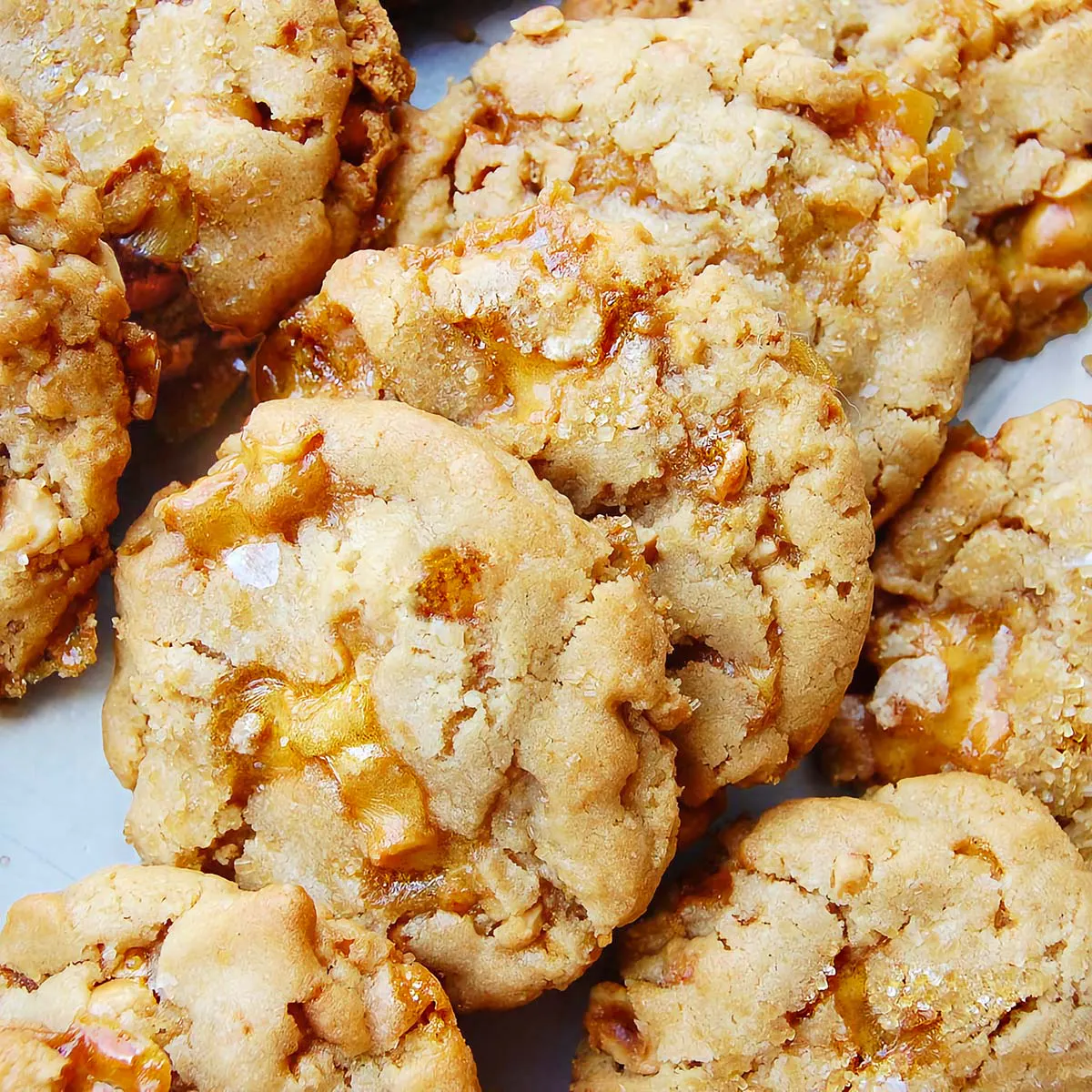 Hanukkah Cookie Box - 12 Pack by Cookie Good - Alternate image 2