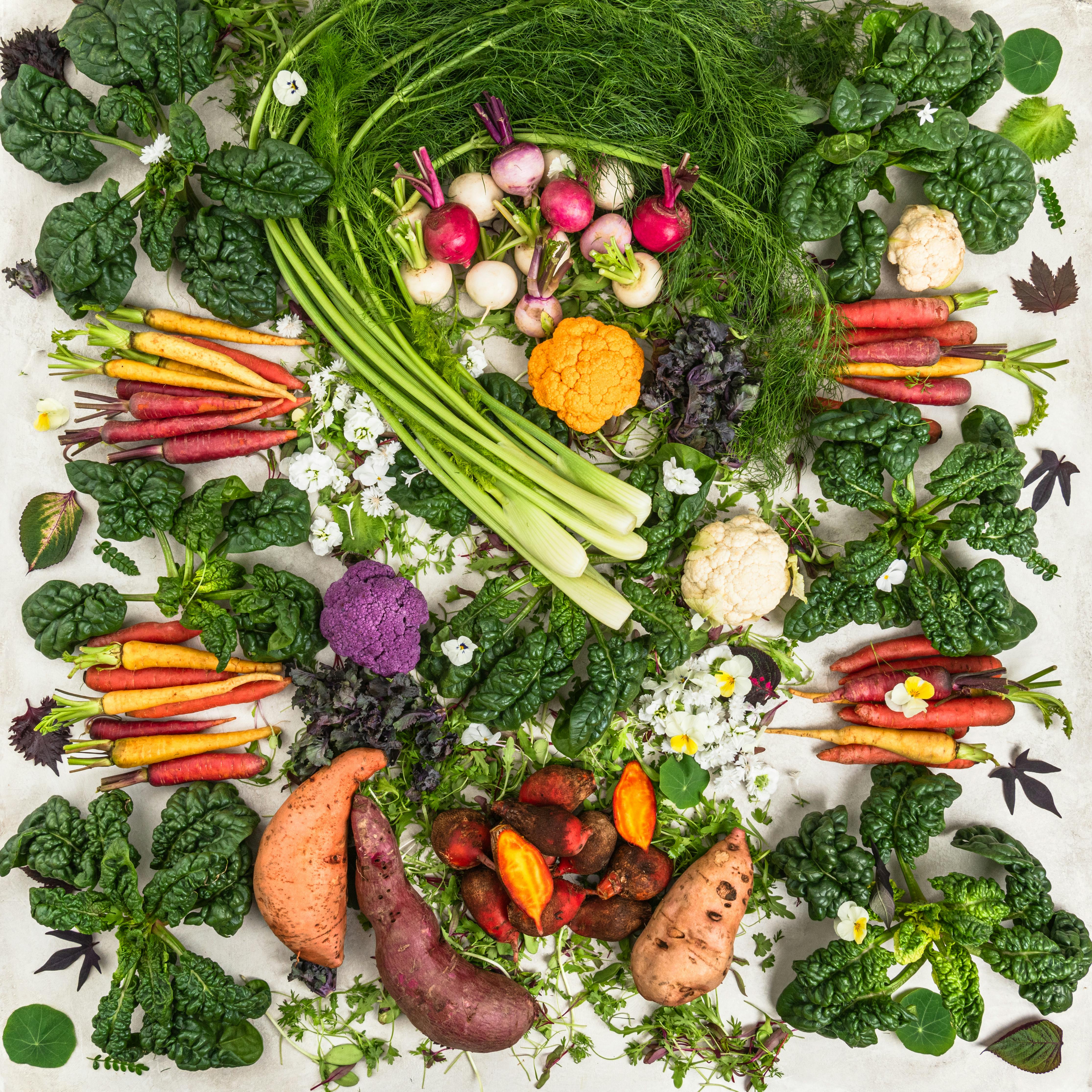 "Home for the Holidays" Seasonal Vegetables - 12-16 lbs. by The Chef’s Garden