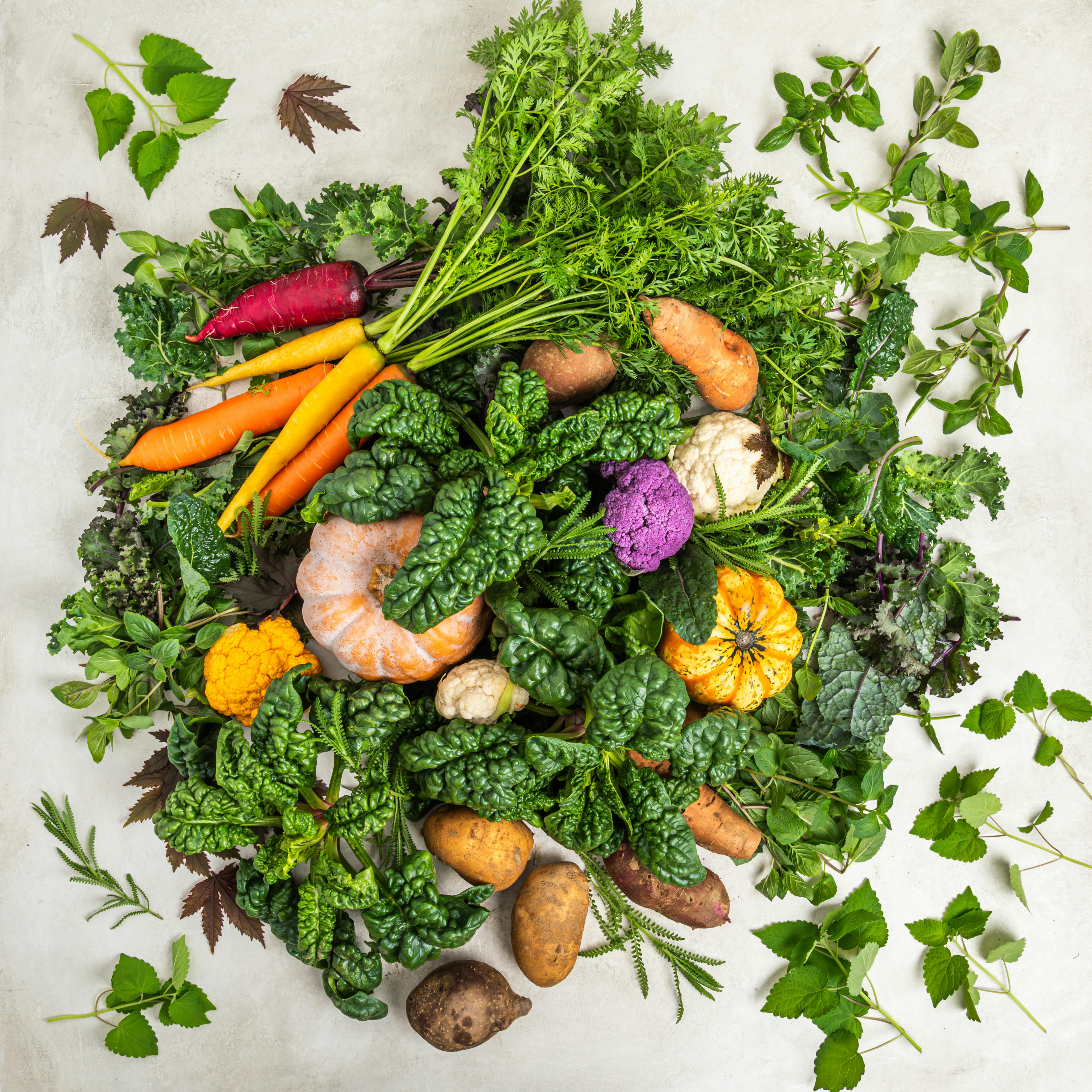 Winter at The Chef's Garden - 8 lbs. by The Chef’s Garden