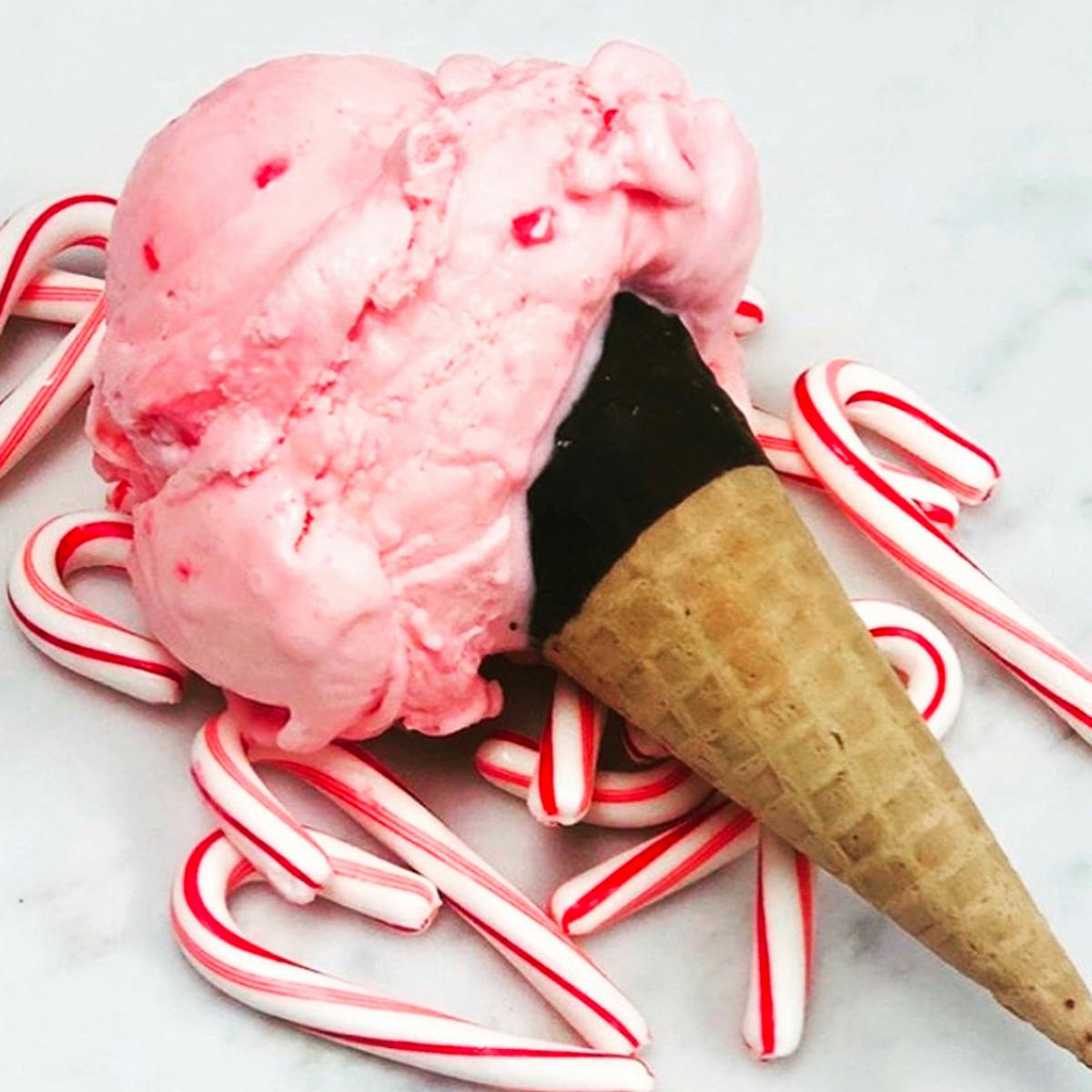 Holiday Ice Cream Collection - 6 Pints by The Comfy Cow - Alternate image 5