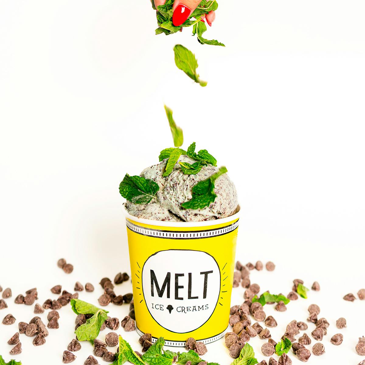 Winter Ice Cream Favorites - 6 Pints by MELT Ice Creams - Alternate image 1