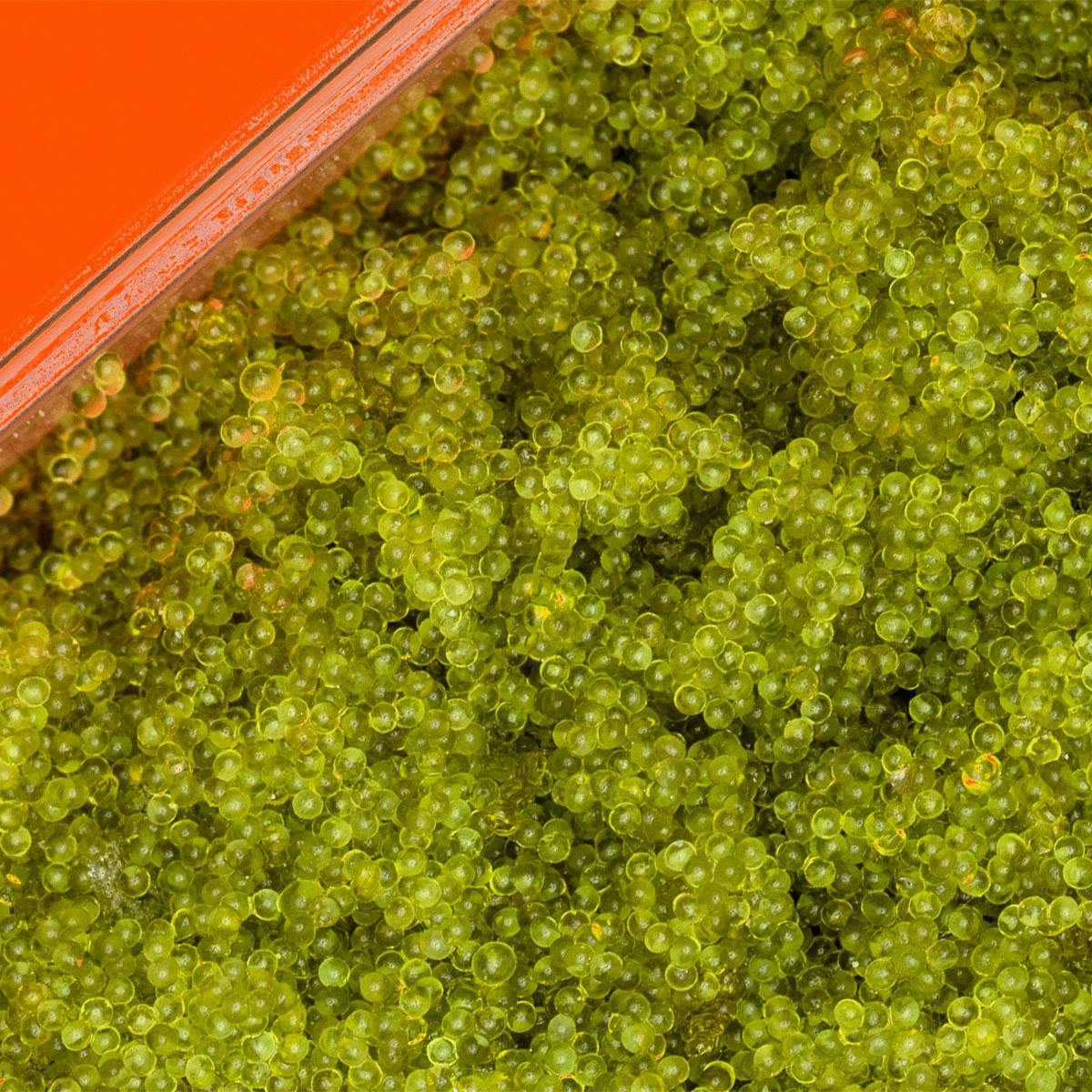 Frozen Tobiko Caviar - 500g by Aqua Best