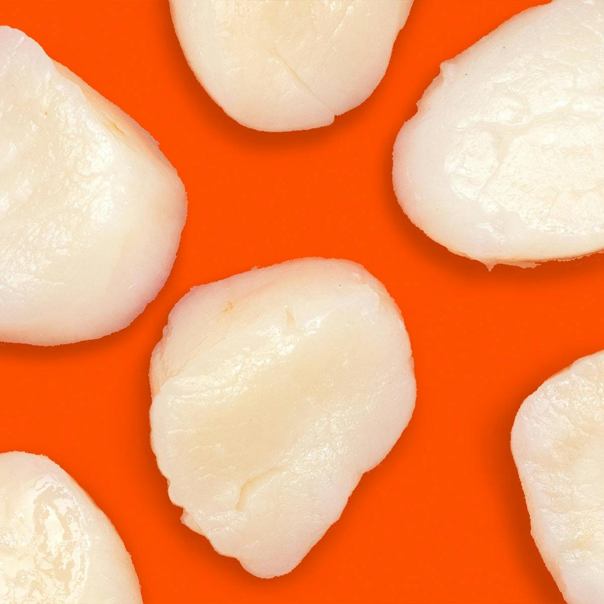 Seasonal Oysters + Scallops - Choose Your Own by Aqua Best - Alternate image 3