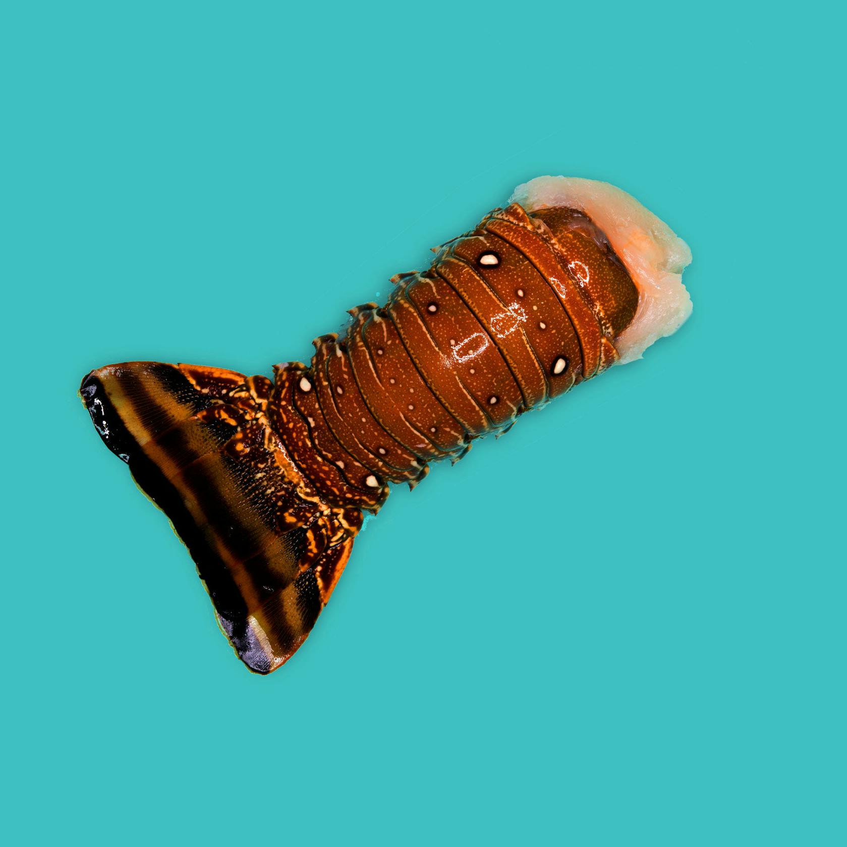 Chef's Favorite Shellfish Box by Aqua Best - Alternate image 3