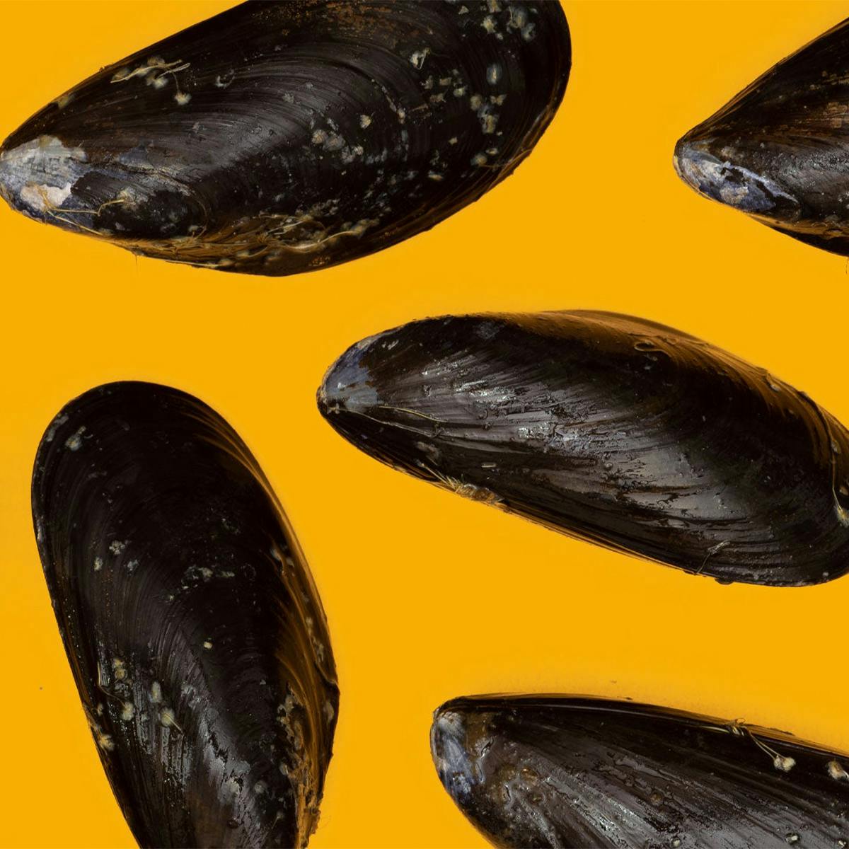 PEI Mussels - 2 lbs. by Aqua Best