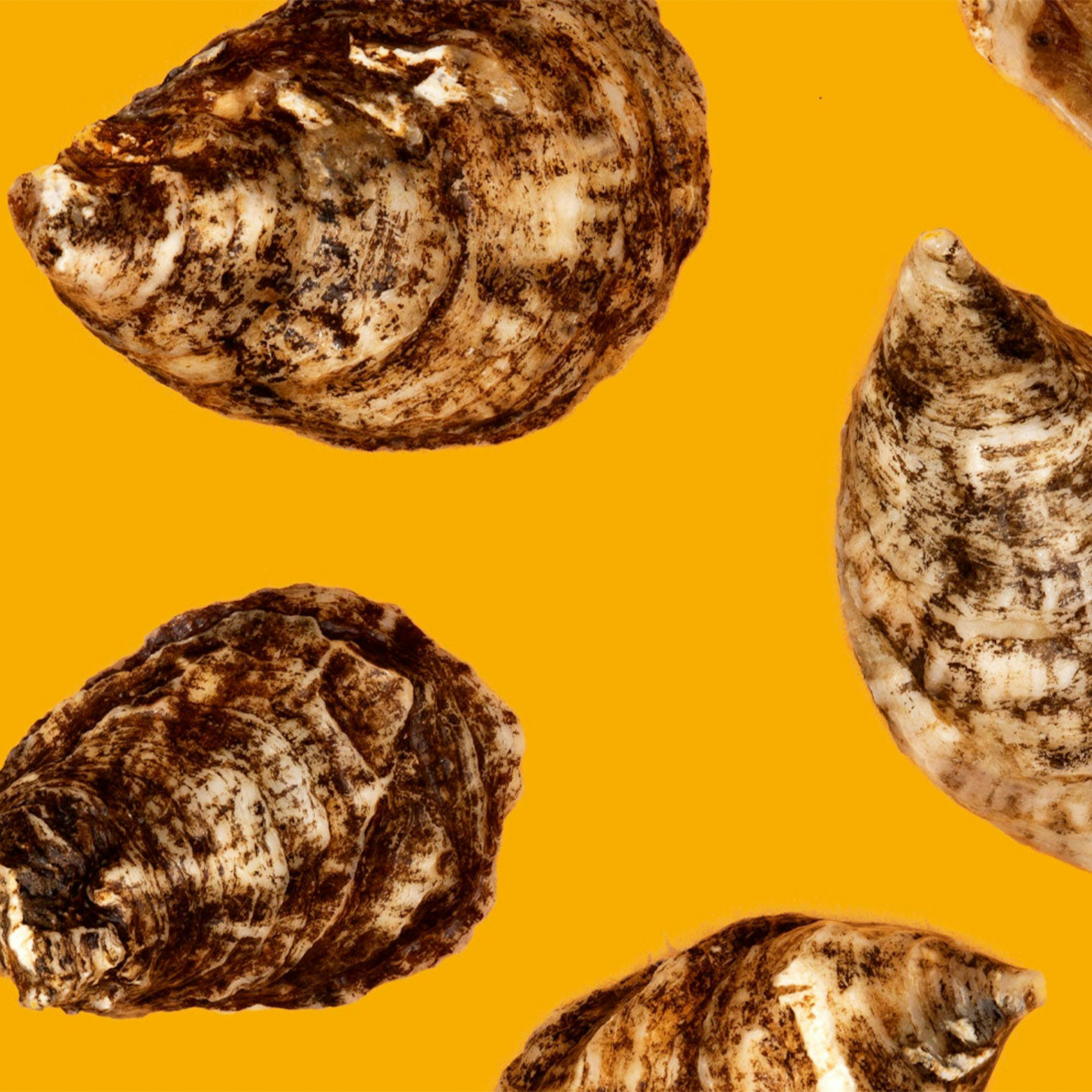 Seasonal Oysters + Lobster Tails - Choose Your Own by Aqua Best - Alternate image 3