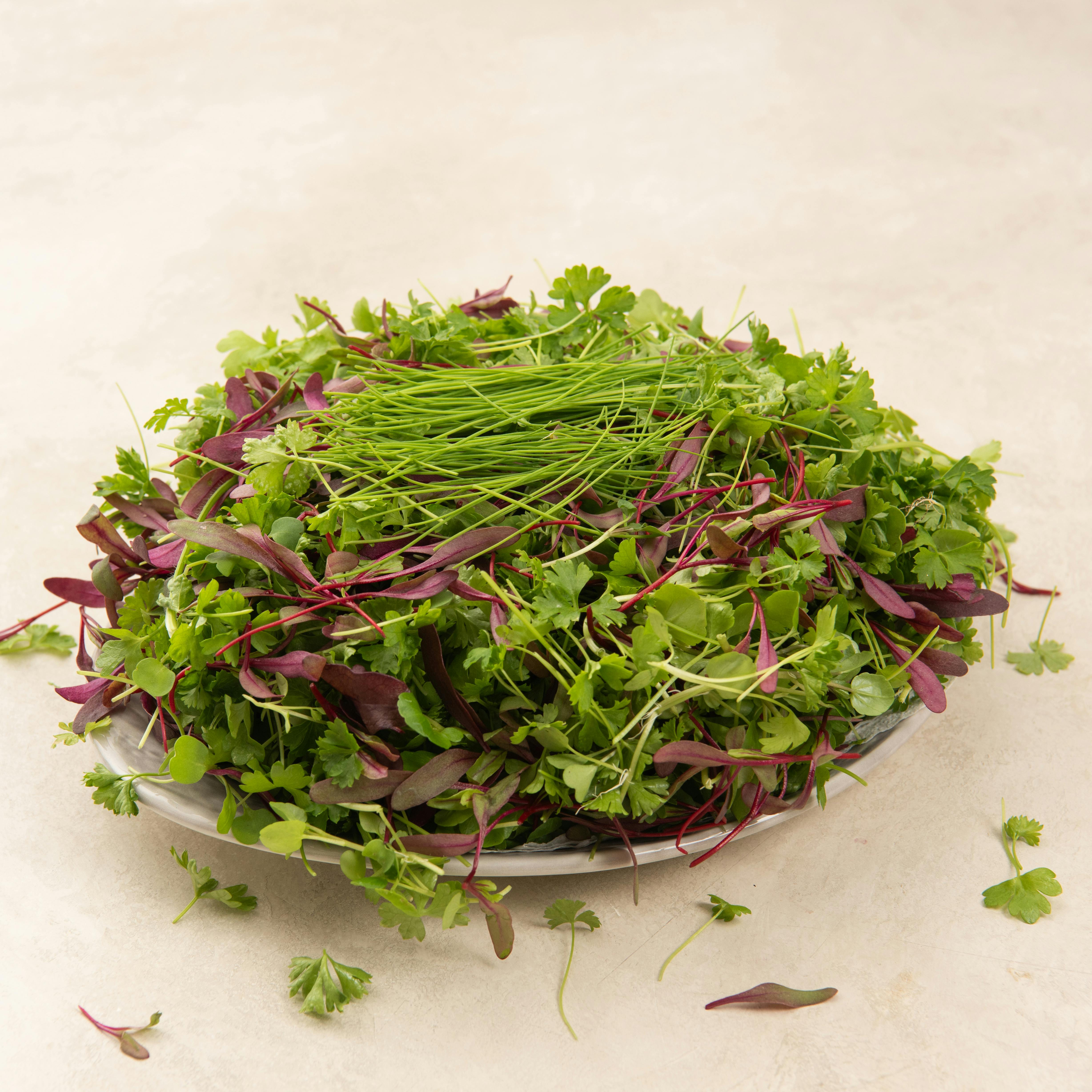 Powerhouse Microgreens - 1 lb. by The Chef’s Garden