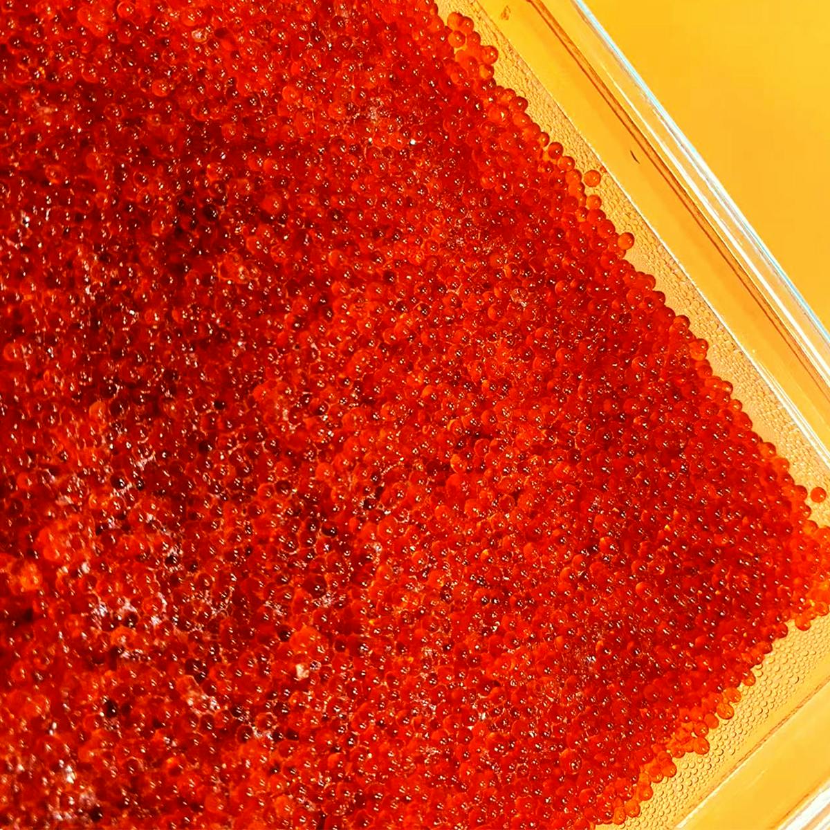 Frozen Tobiko Caviar - 500g by Aqua Best - Alternate image 1