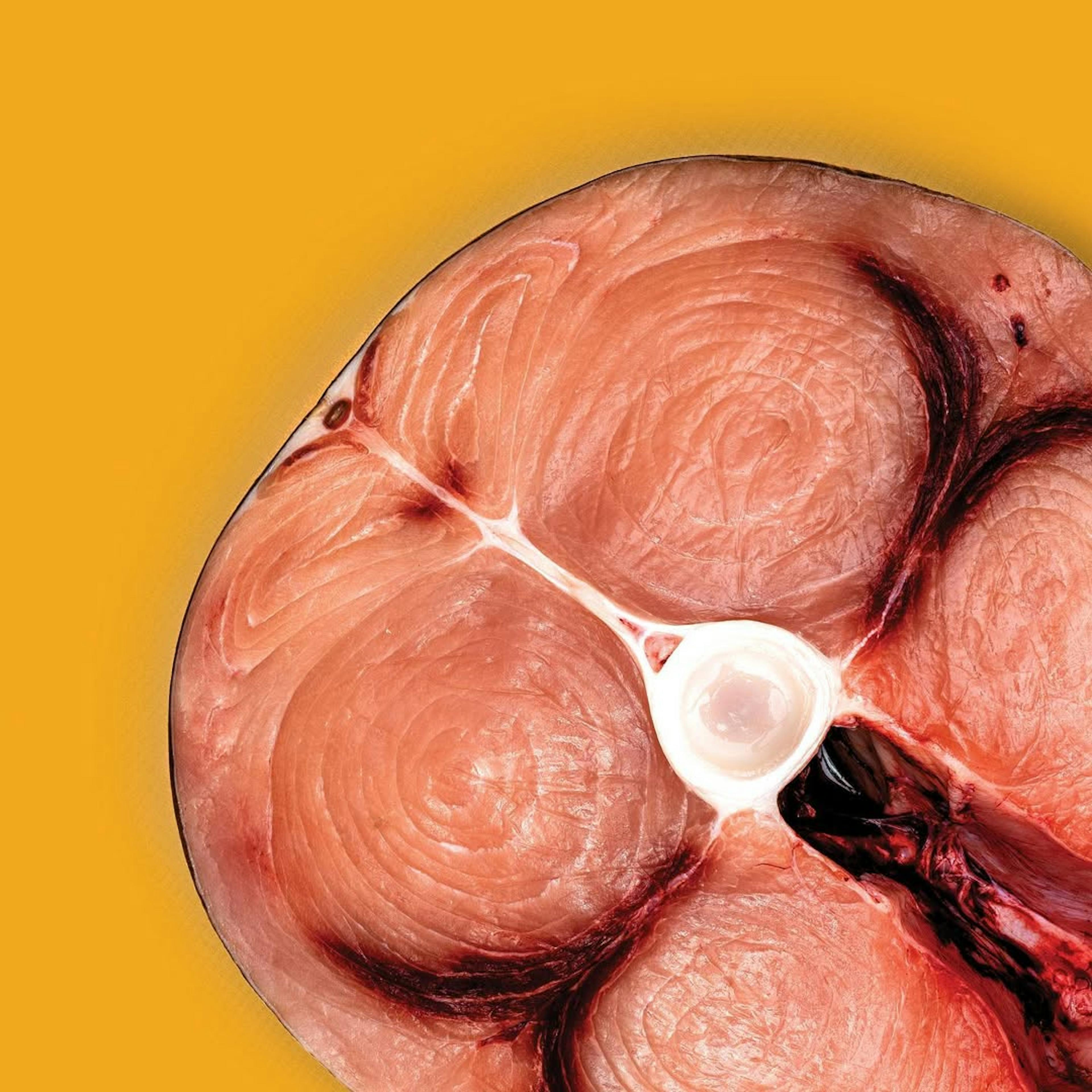 Fresh Swordfish Steak - 1 lb. by Aqua Best