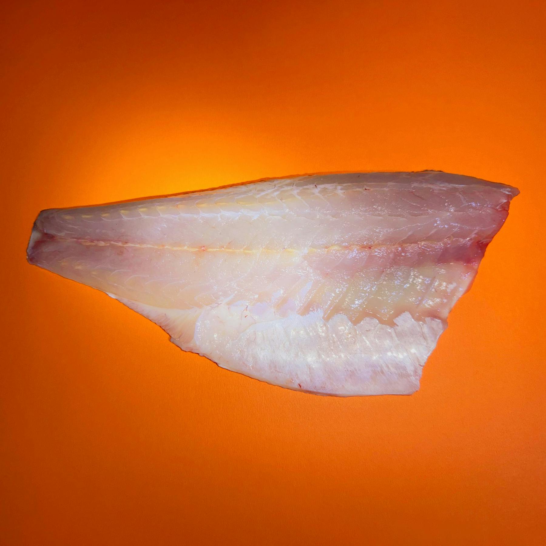 Branzino Fillet - 2 Pack by Aqua Best