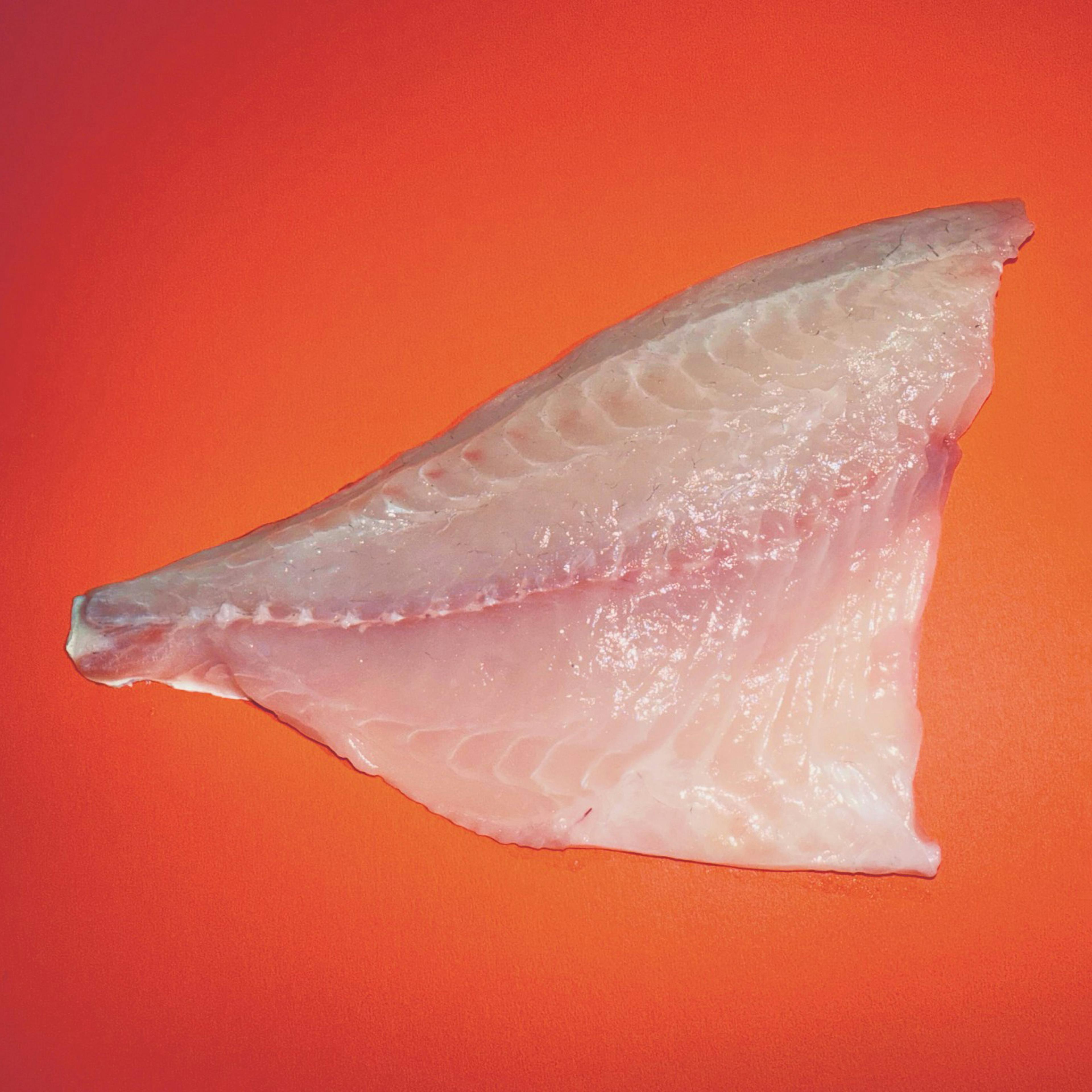 Dorade Fillet - 2 Pack by Aqua Best