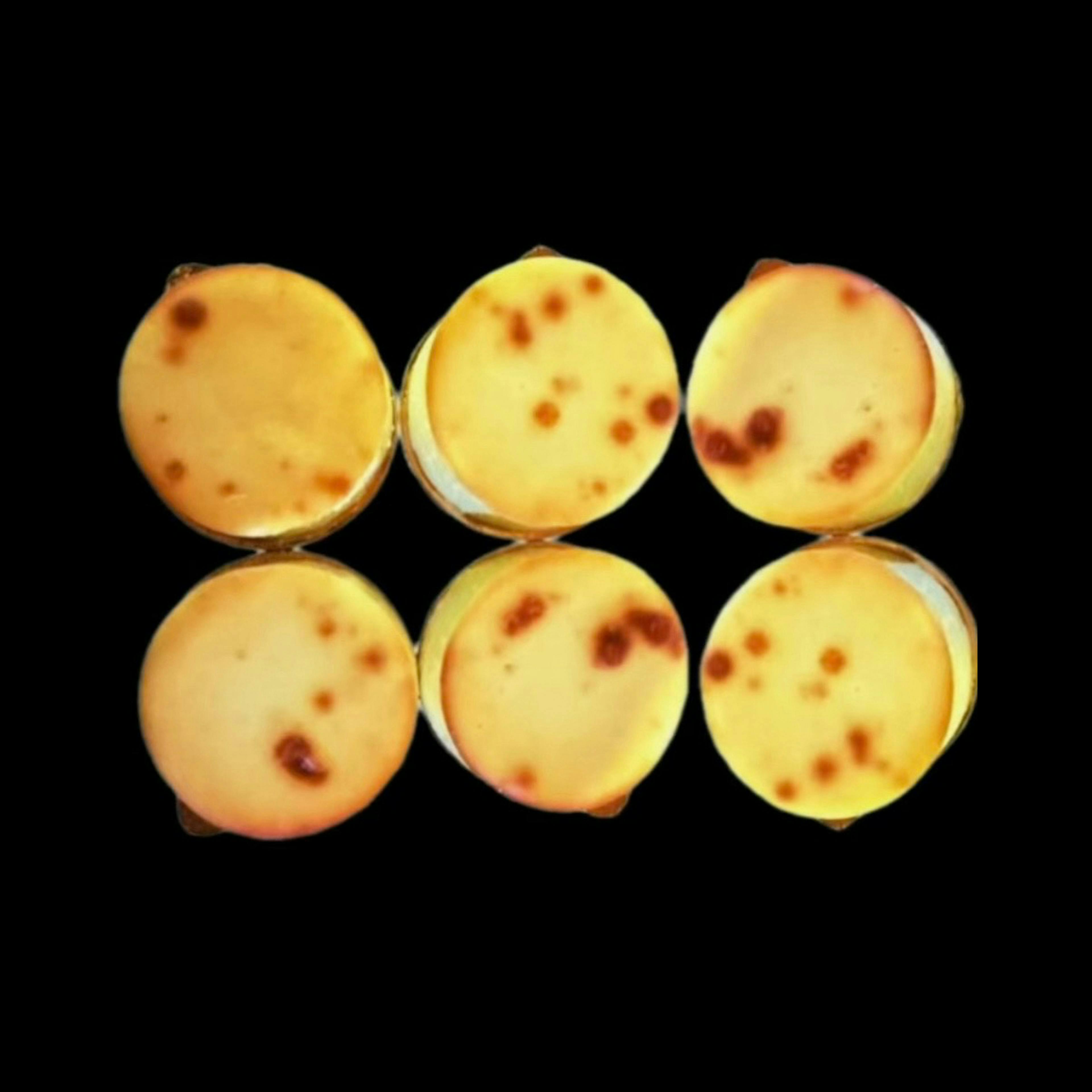 Mini Cheesecake - 6 Pack by Veniero's