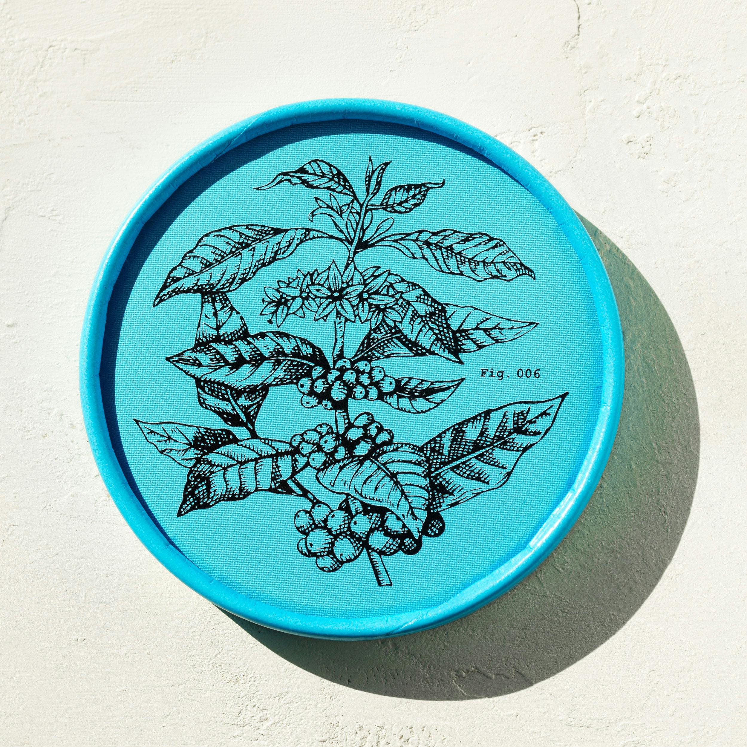 House Favorites Gelato - 4 Pints by Dolcezza Gelato - Alternate image 3